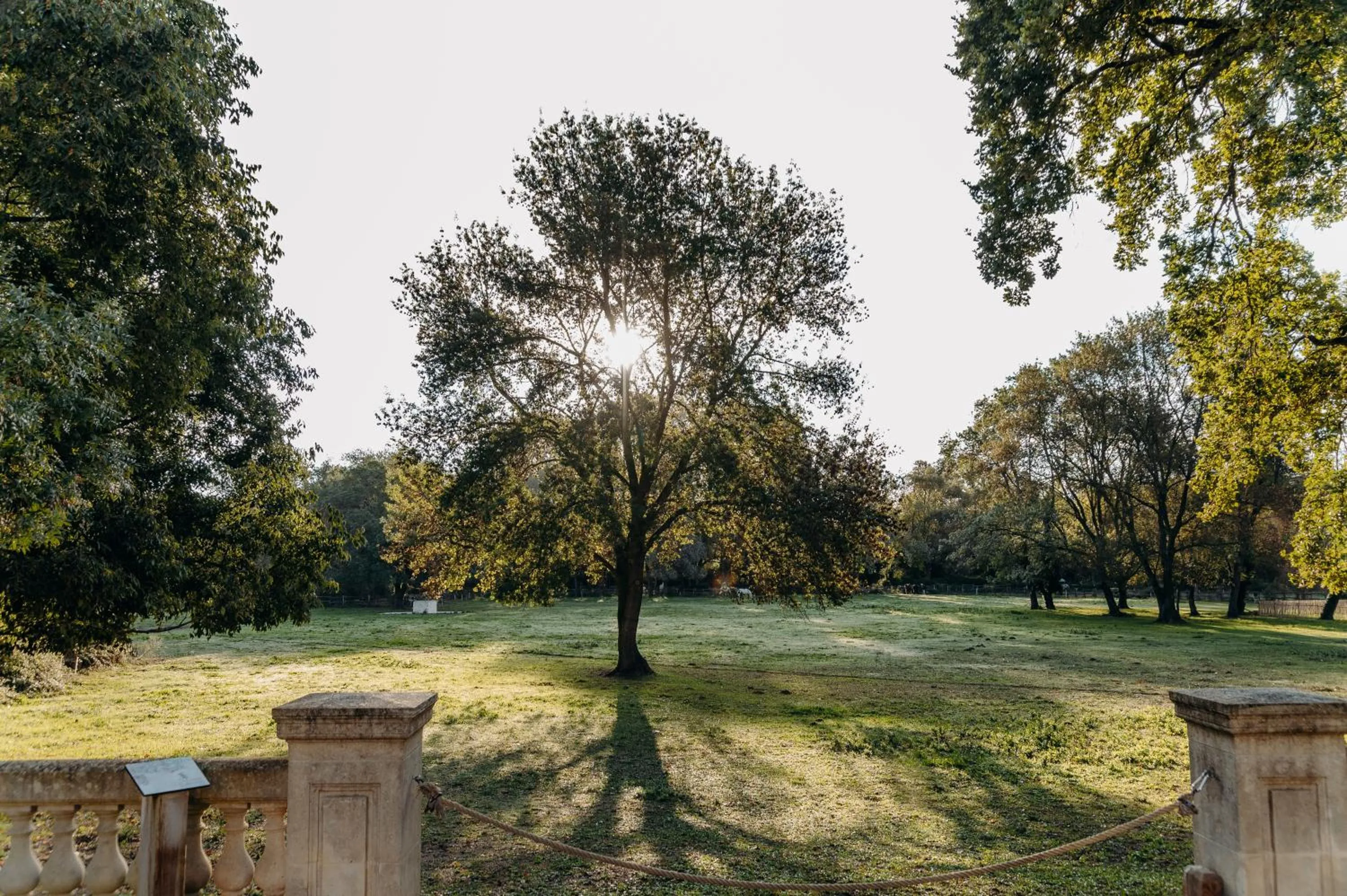 Garden in Hôtel Domaine de Biar