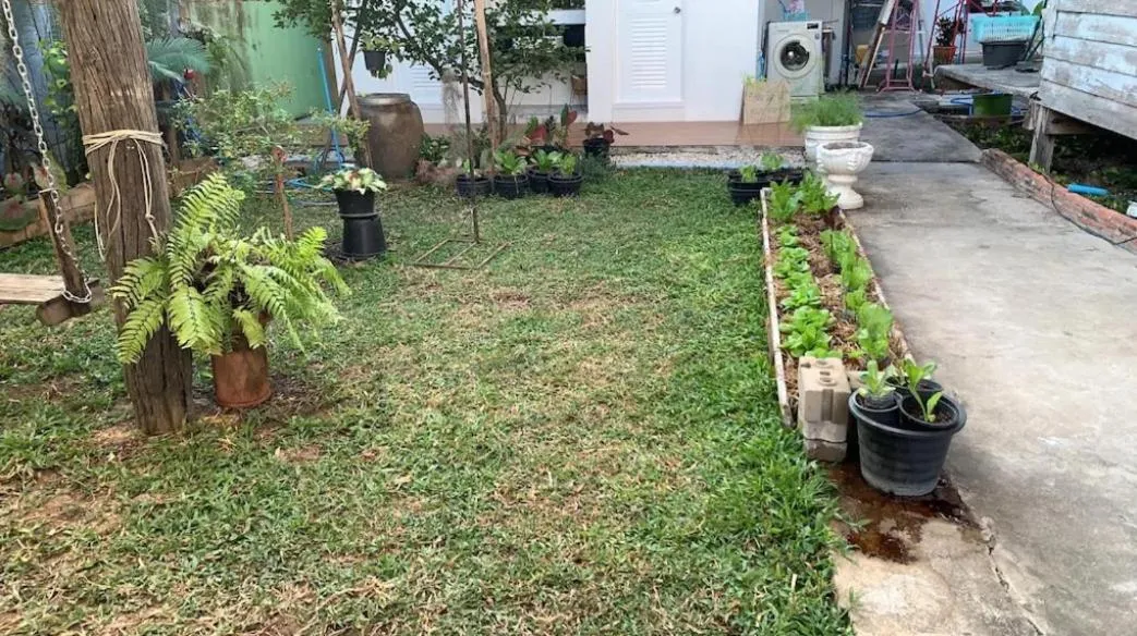 Garden in Baan Khun Ya Sukhothai Old City