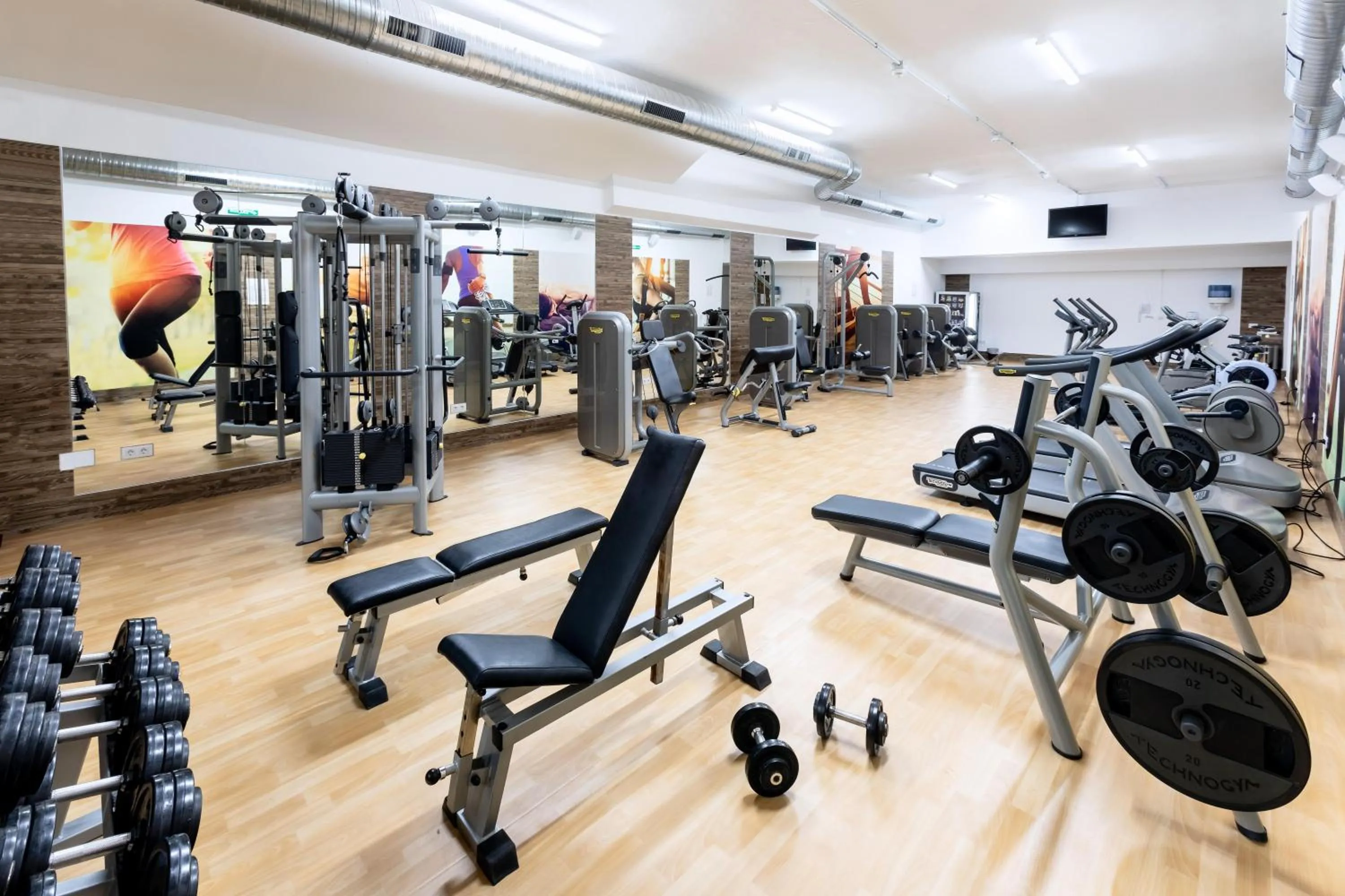 Activities in Tagoro Family & Fun Costa Adeje