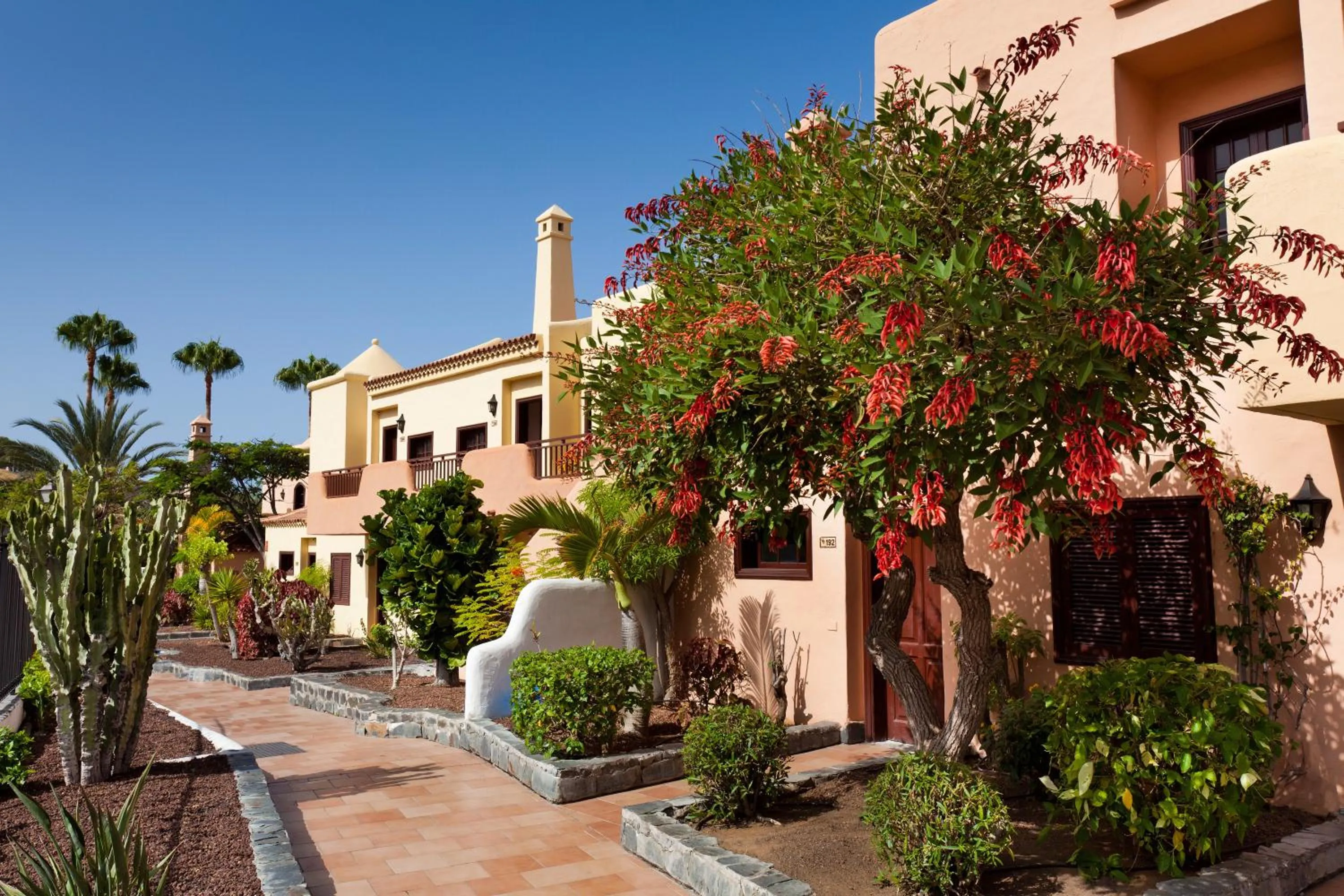 Facade/entrance in Tagoro Family & Fun Costa Adeje