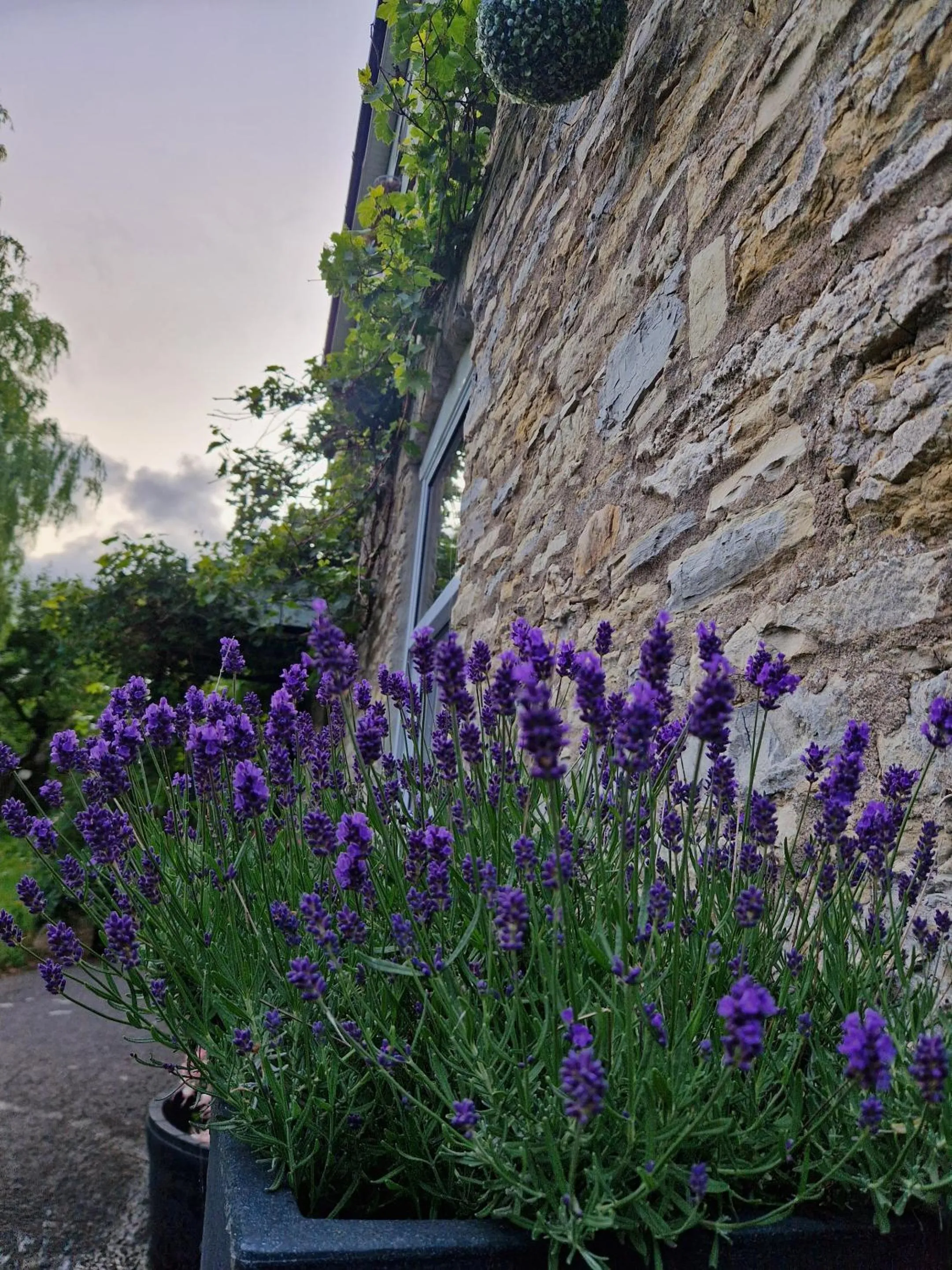 Garden in Worth House Bed and Breakfast
