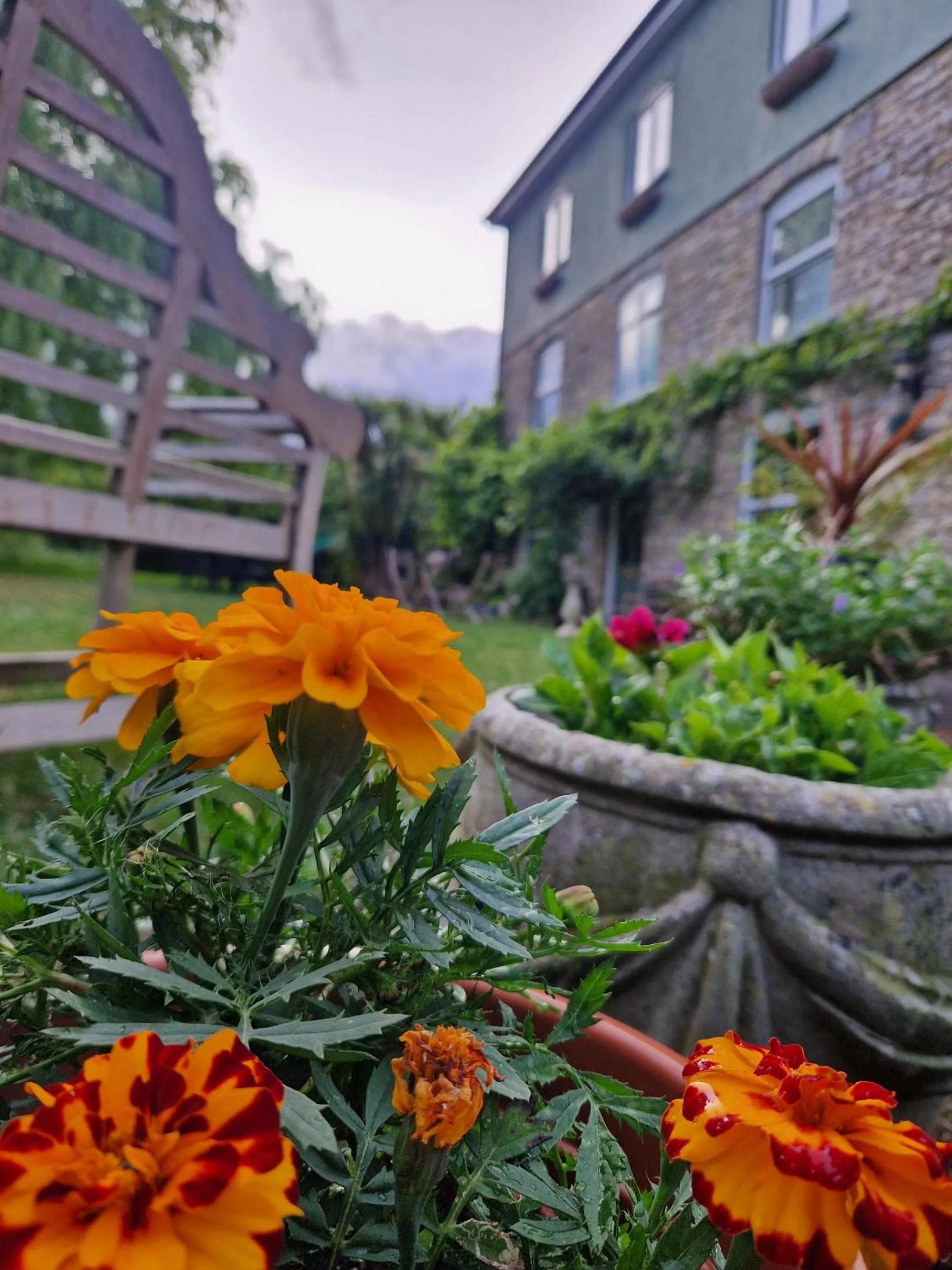 Garden in Worth House Bed and Breakfast