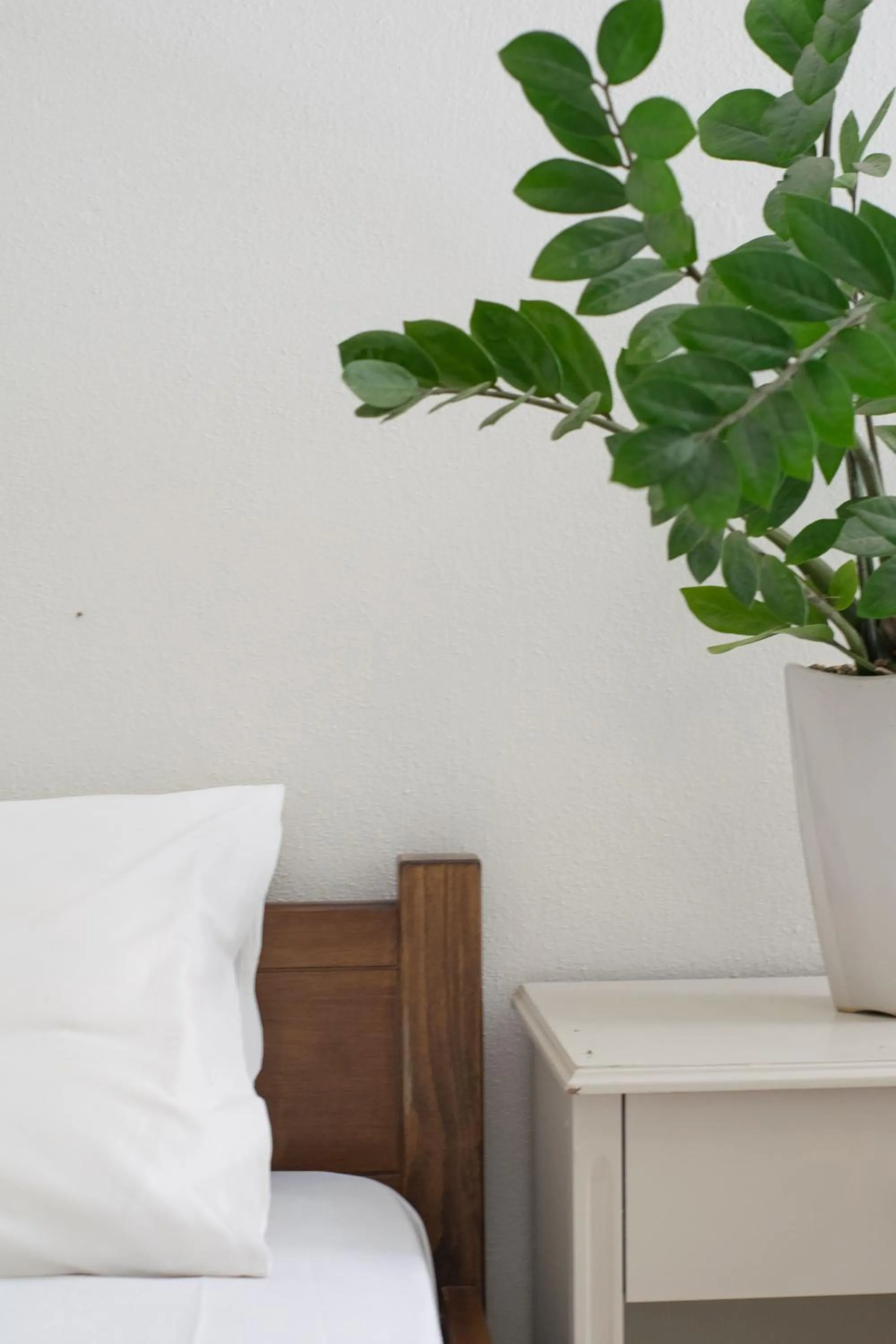 Bed in Greta Apartments