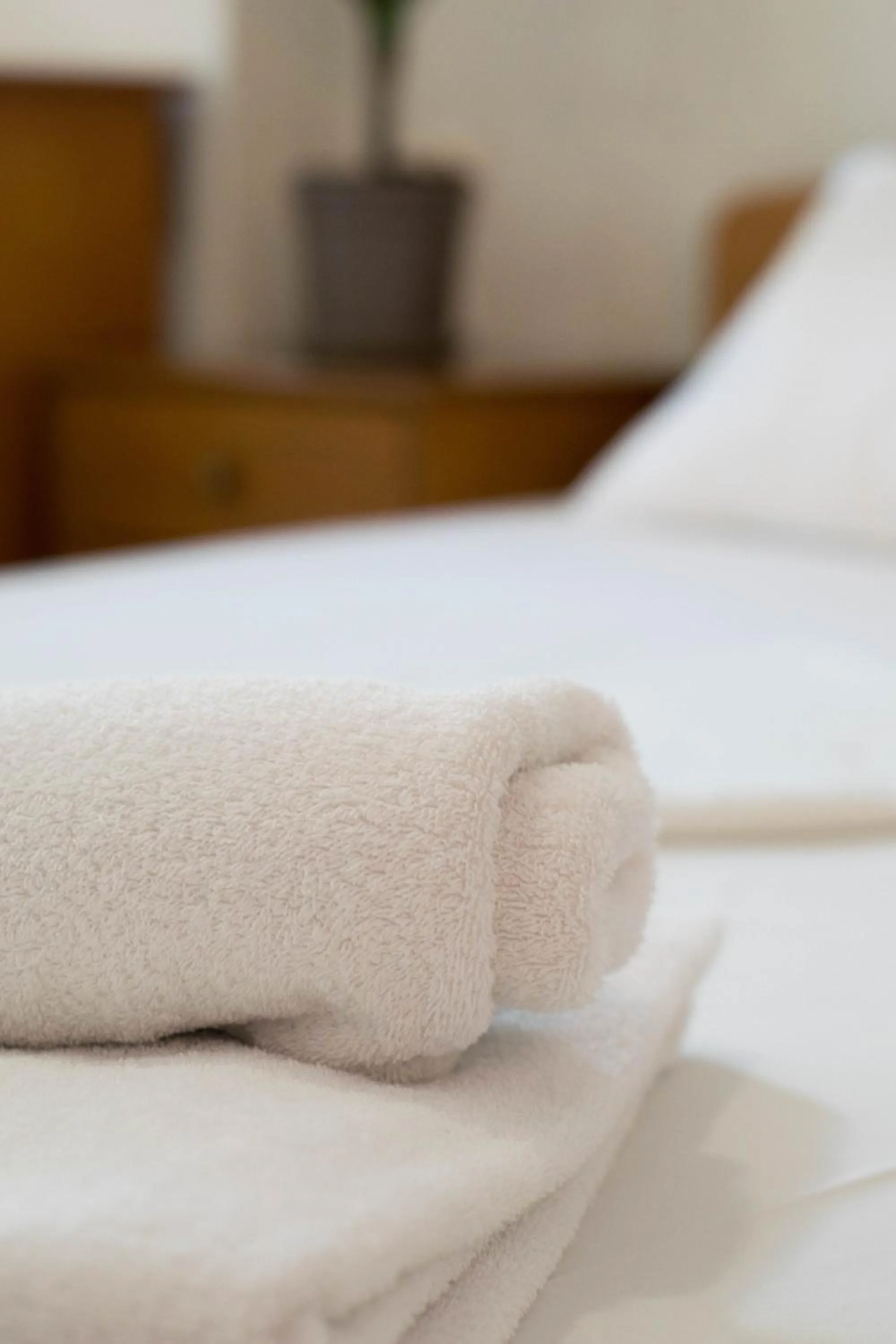 Bed in Greta Apartments