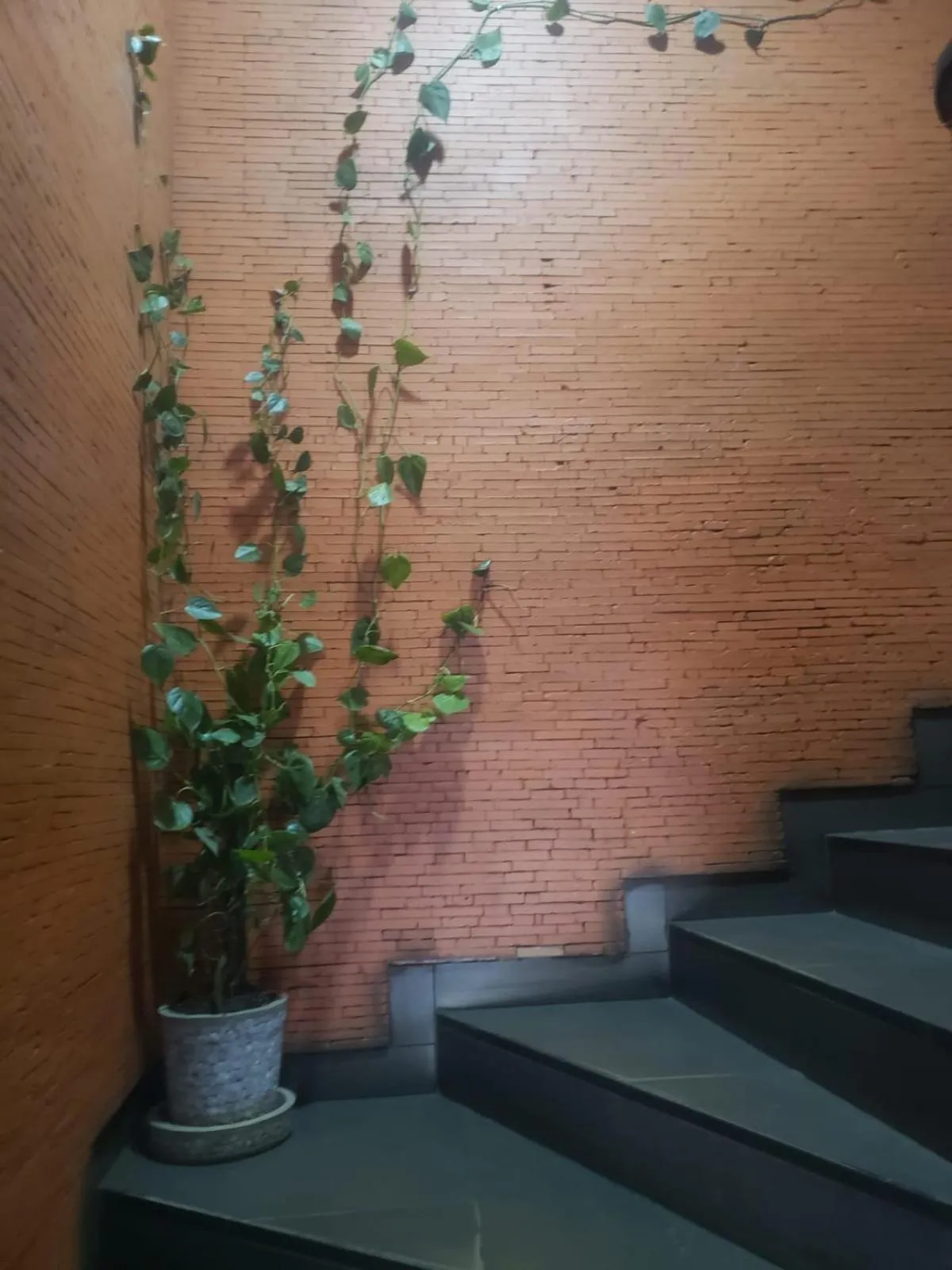 Facade/entrance in Sole Hotel