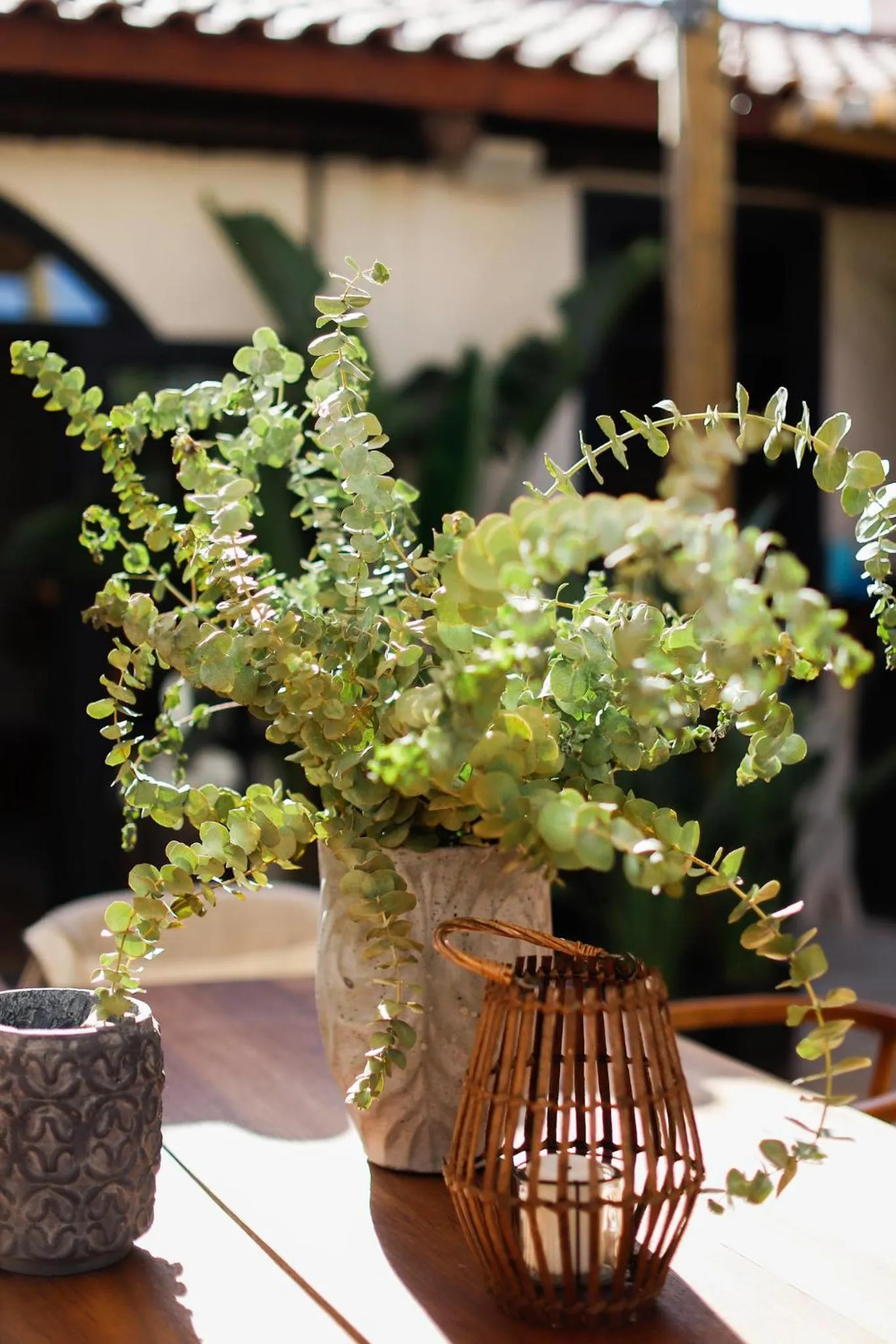 Day in GAIA ALAÇATI