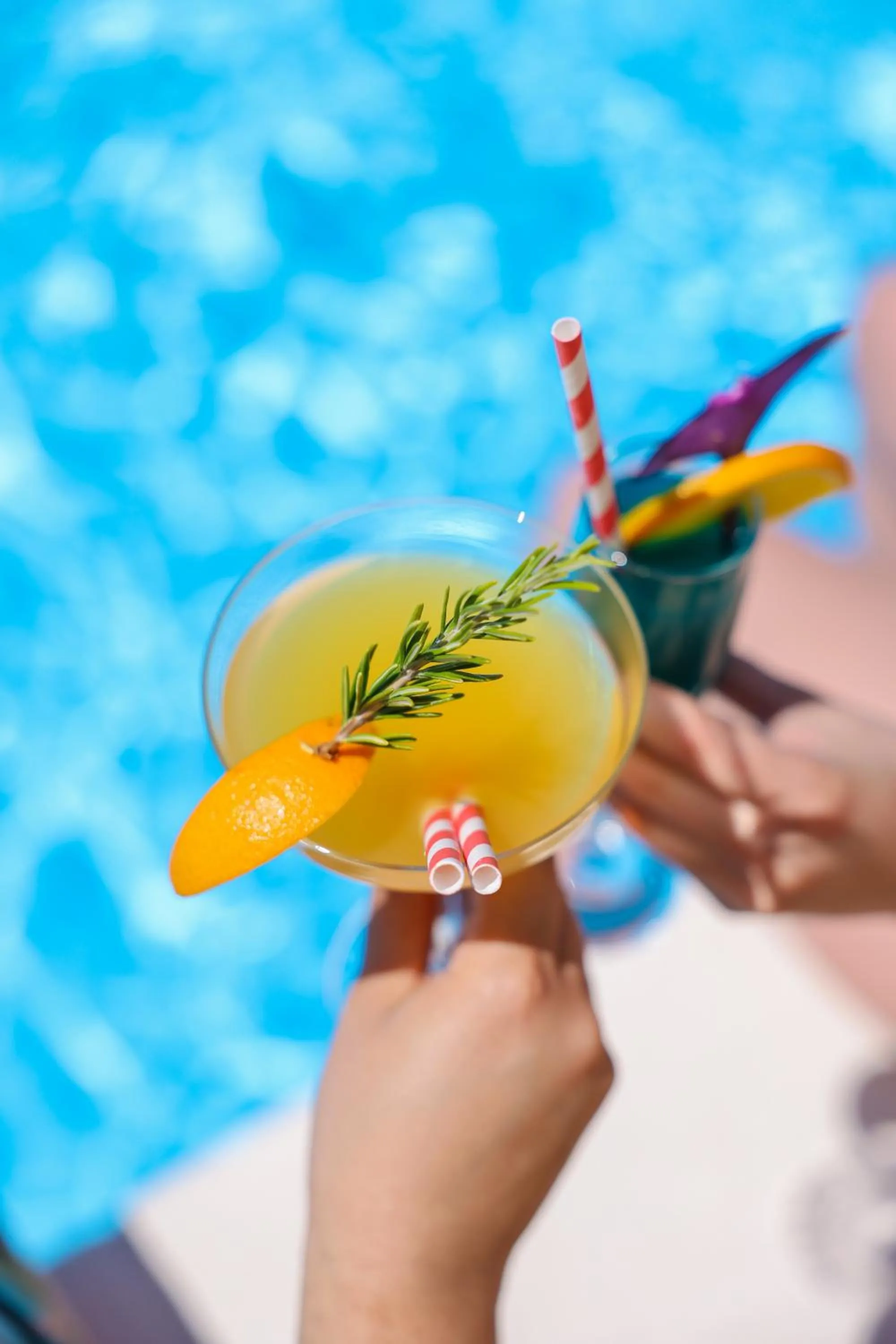 Swimming pool in Apartments Medena