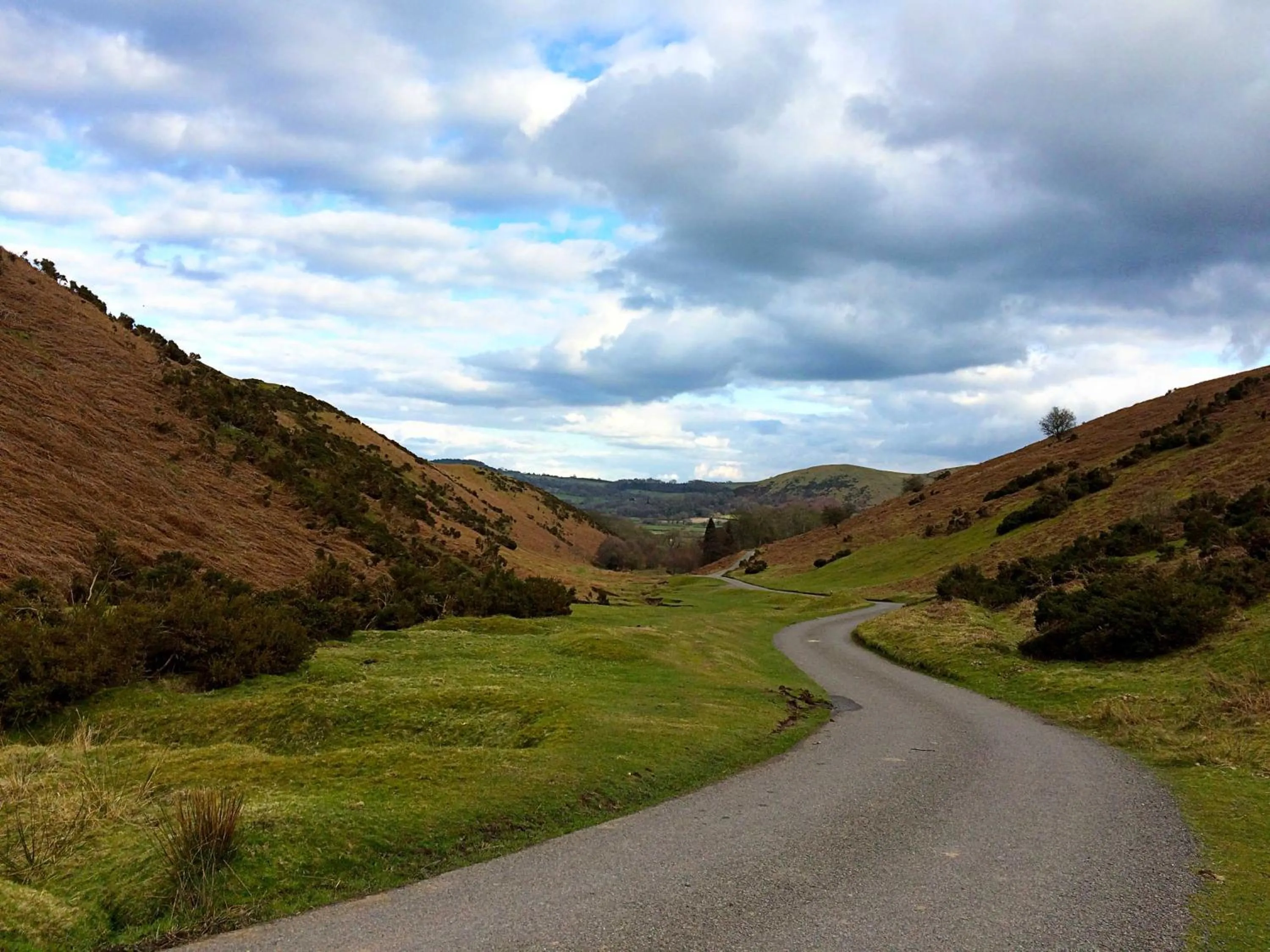Natural landscape in Mynd House