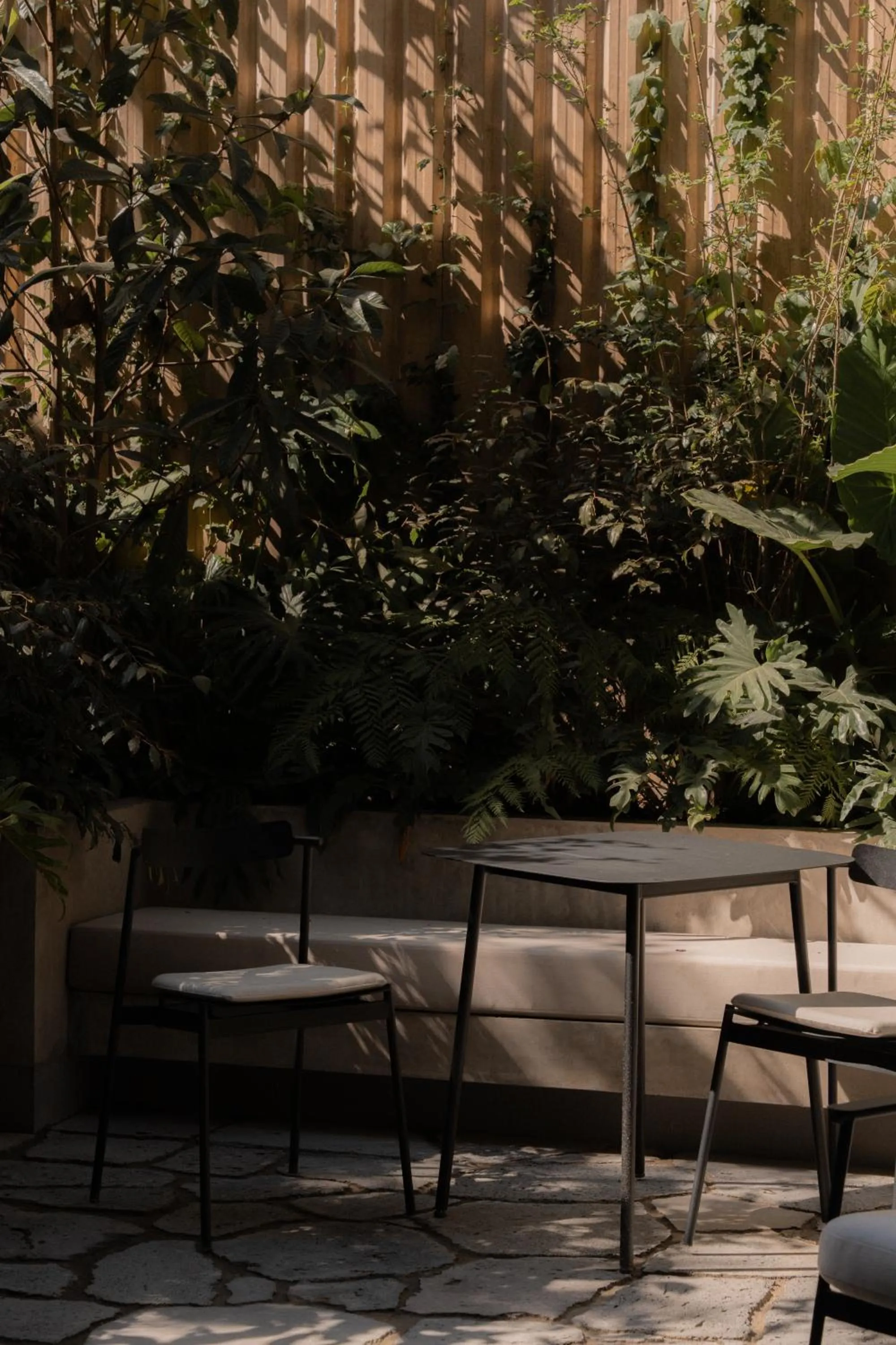 Patio in ONTO Alvaro Obregon Mexico City