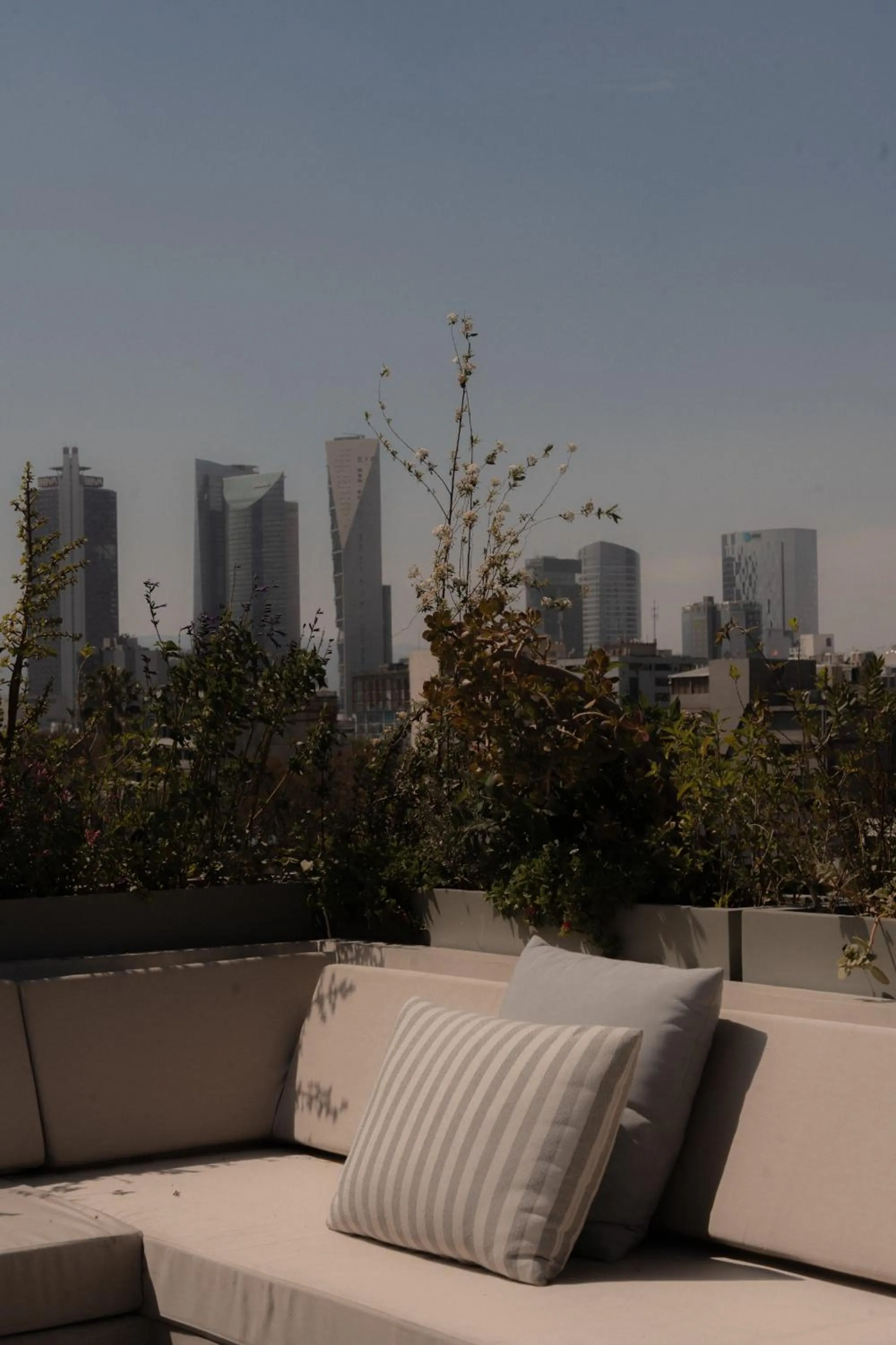 View (from property/room) in ONTO Alvaro Obregon Mexico City