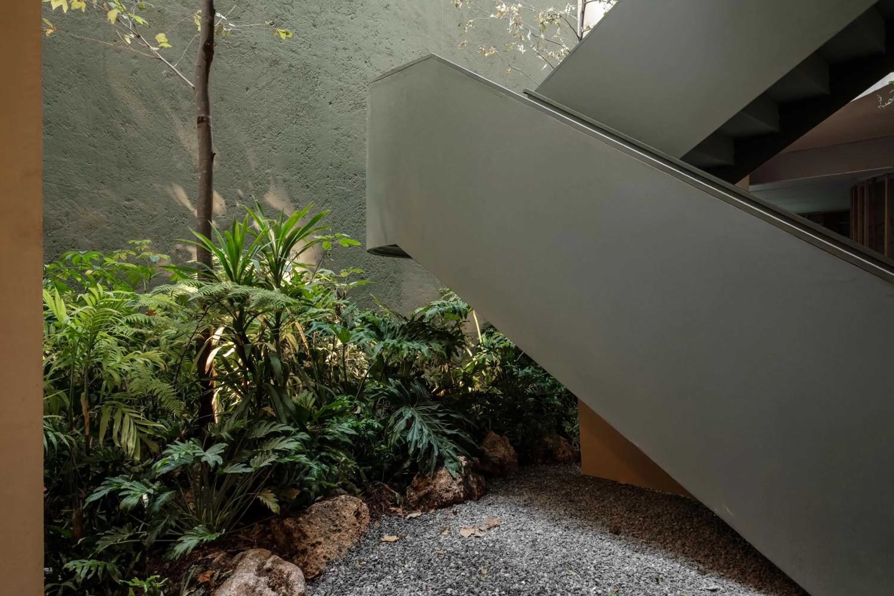 Day in ONTO Alvaro Obregon Mexico City