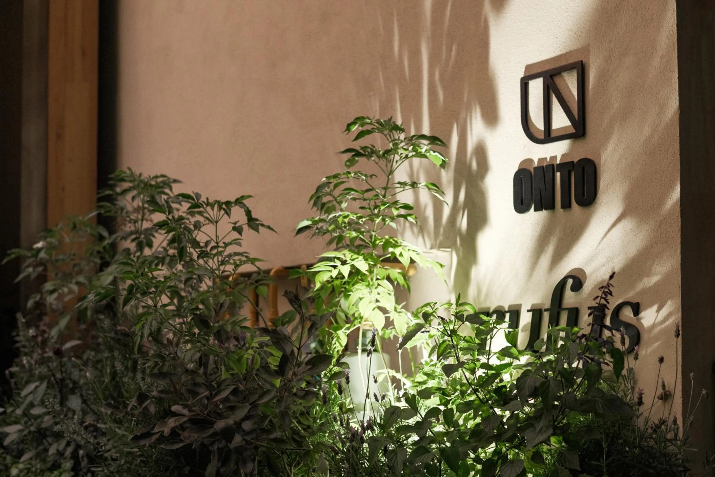 Property logo or sign in ONTO Alvaro Obregon Mexico City