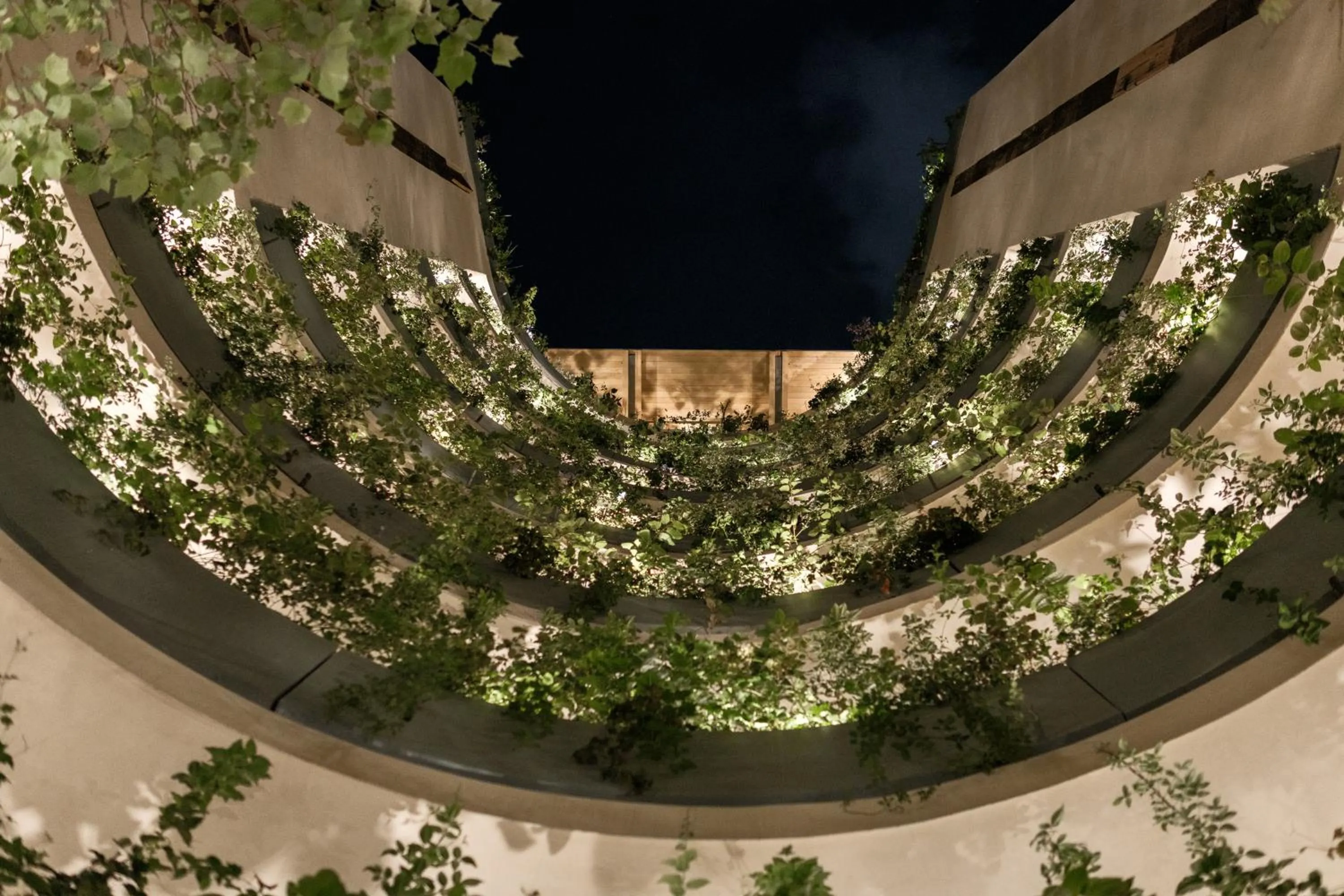 Night in ONTO Alvaro Obregon Mexico City