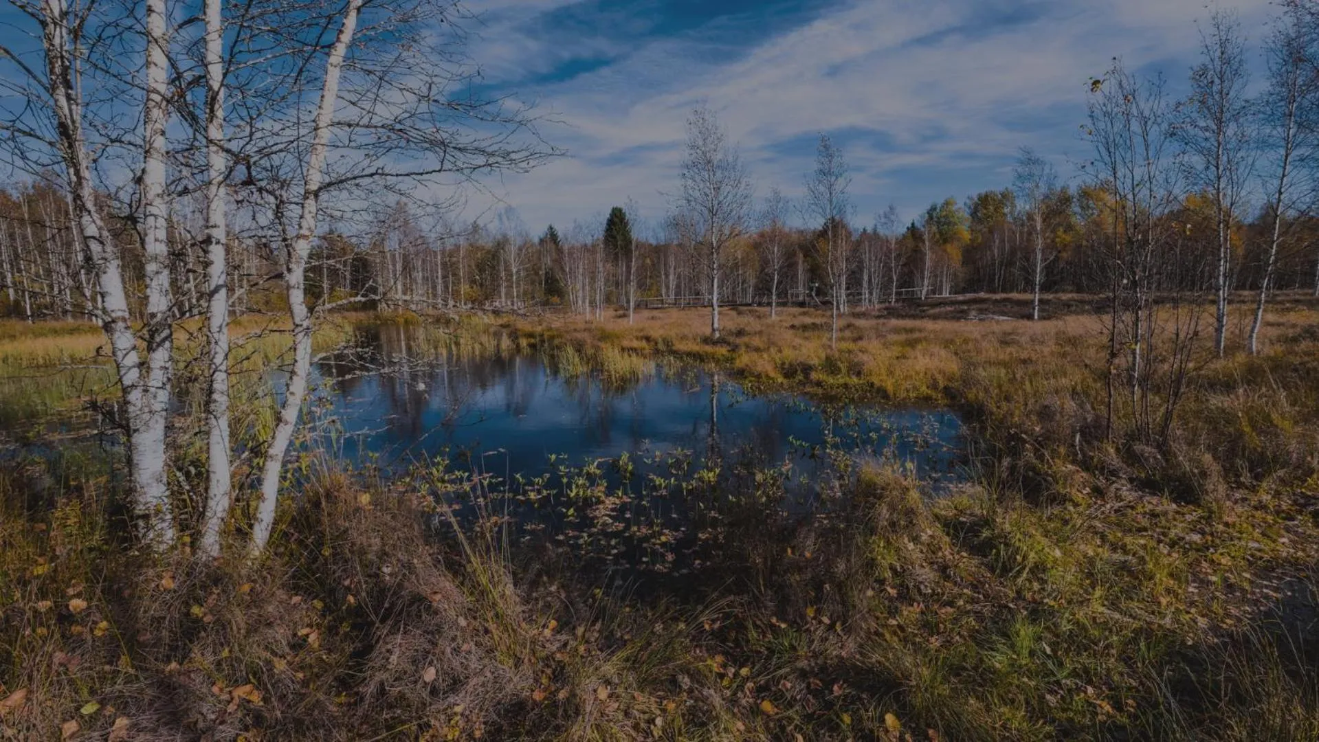 Nearby landmark in BNB Les Prises