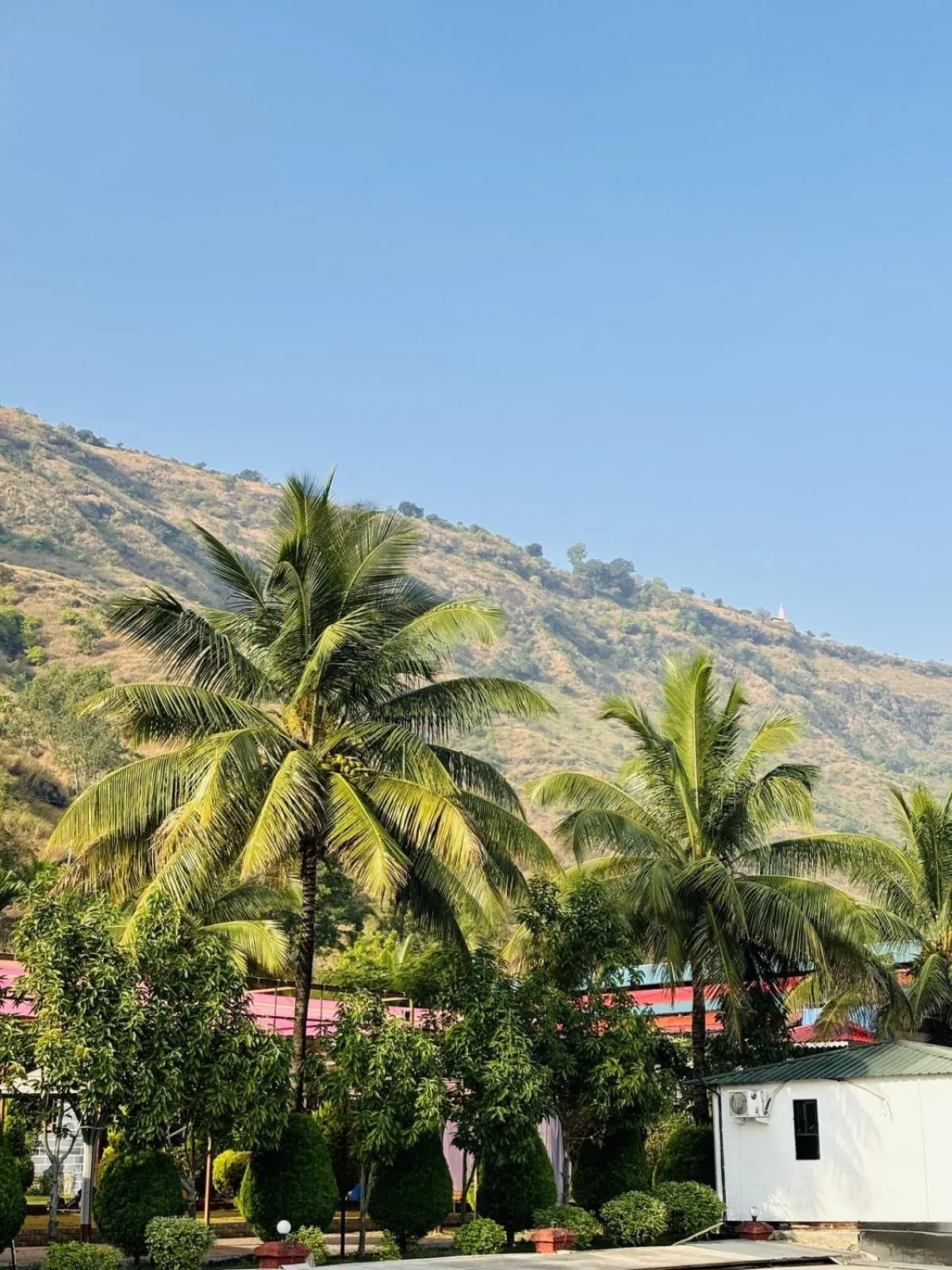 Garden in Madhura Agro Tourism