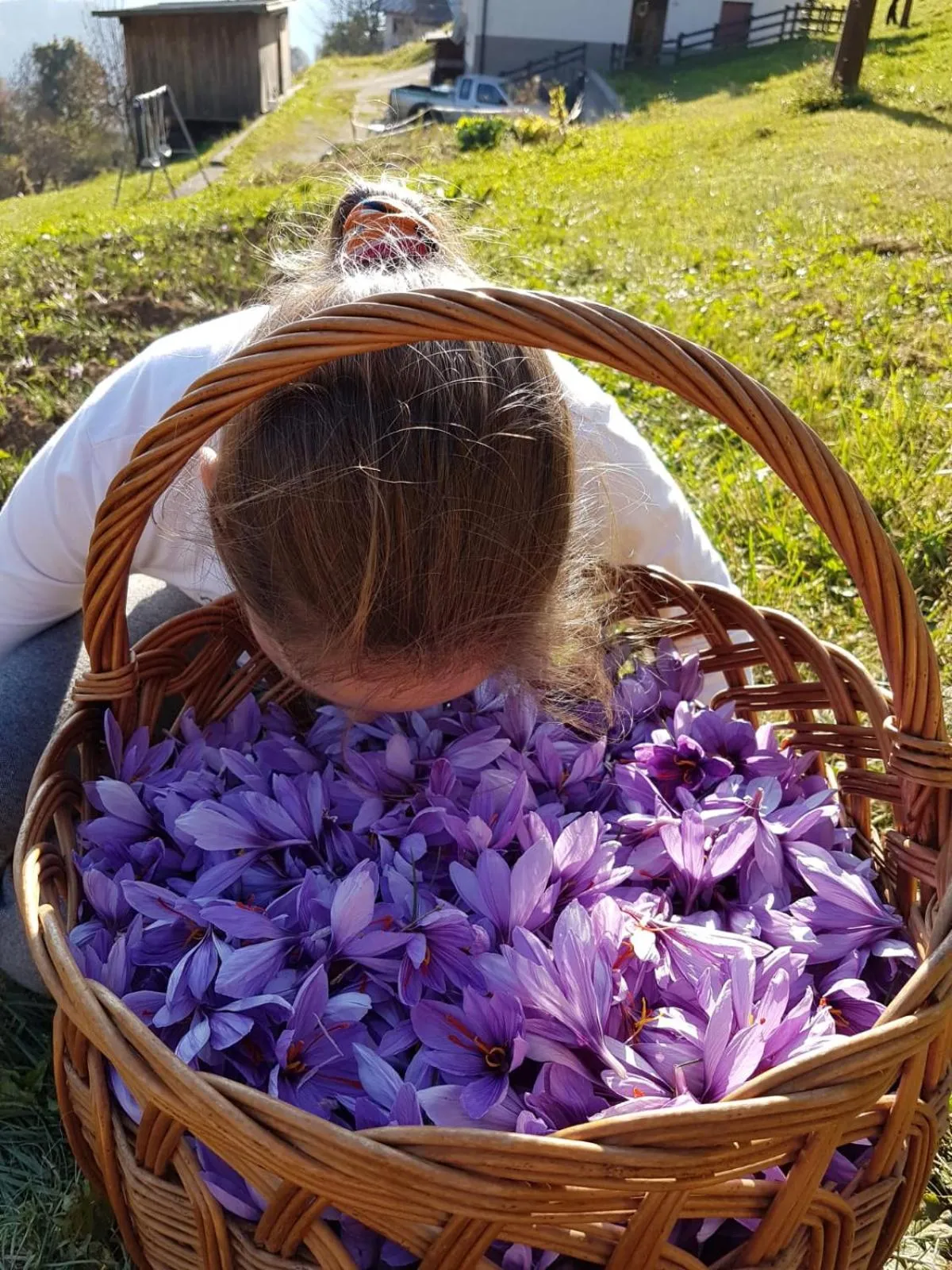 Activities in B&B Dolomitincanto