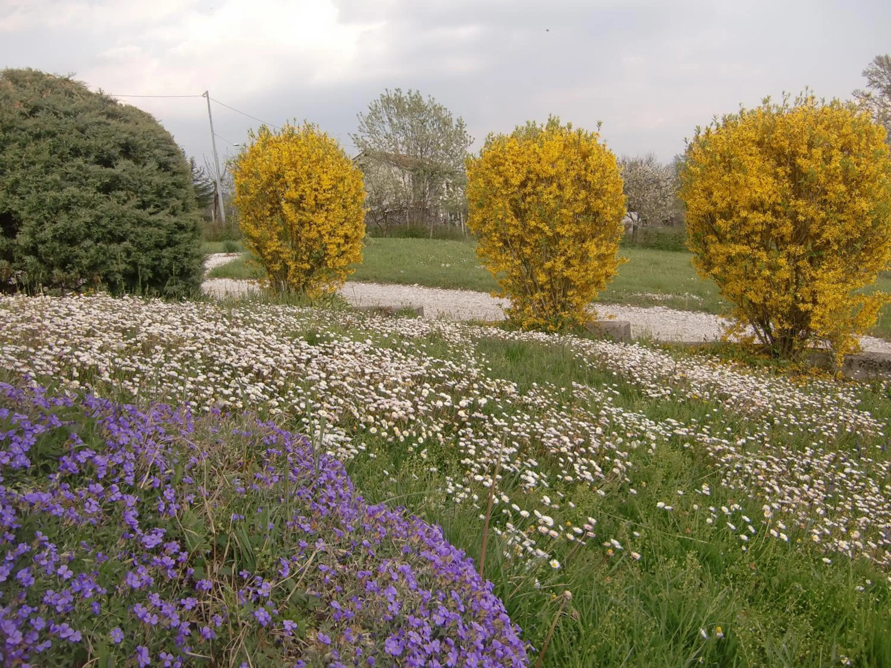 Property building in B&B Dolomitincanto