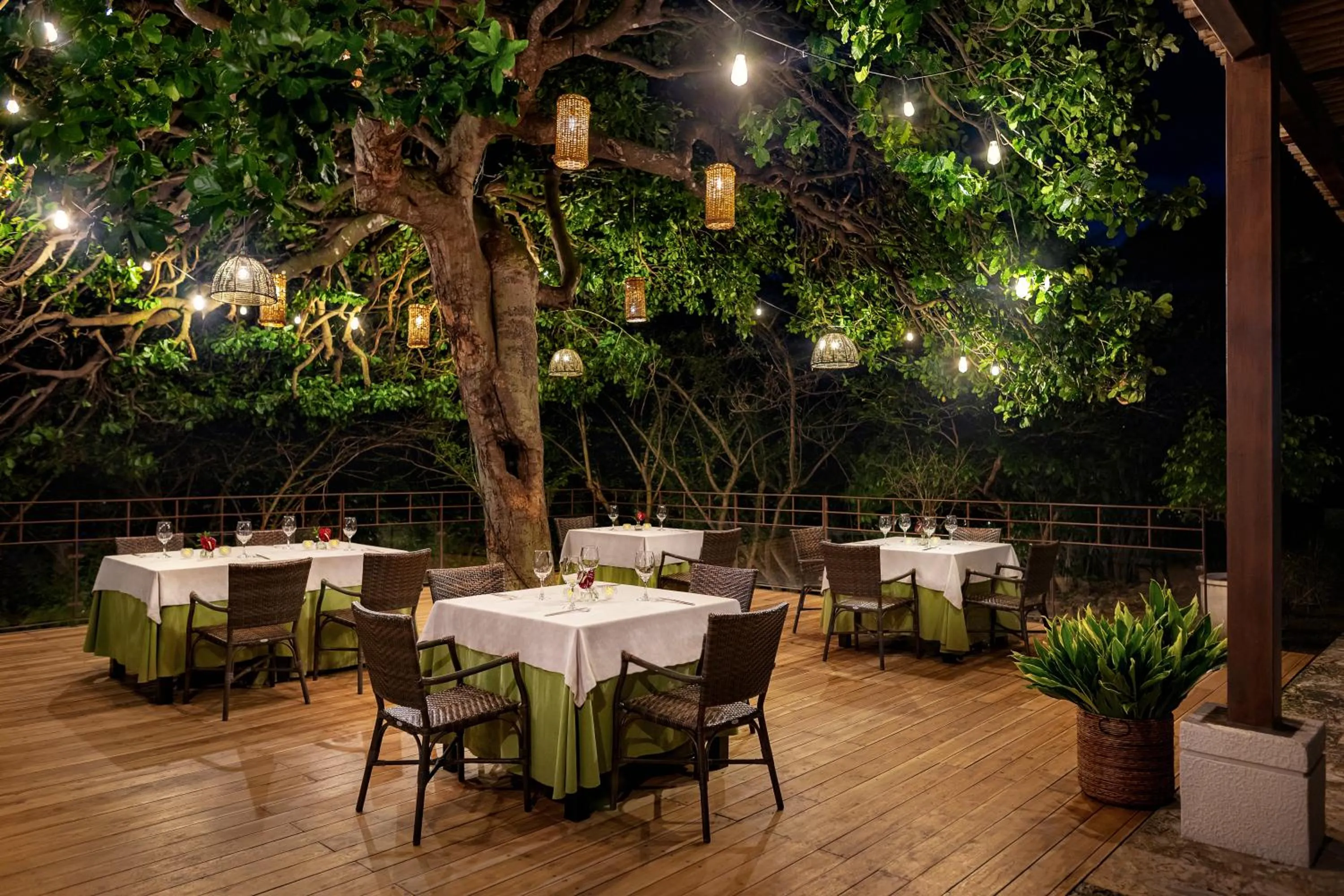 Restaurant/places to eat in Dreams Las Mareas All Inclusive