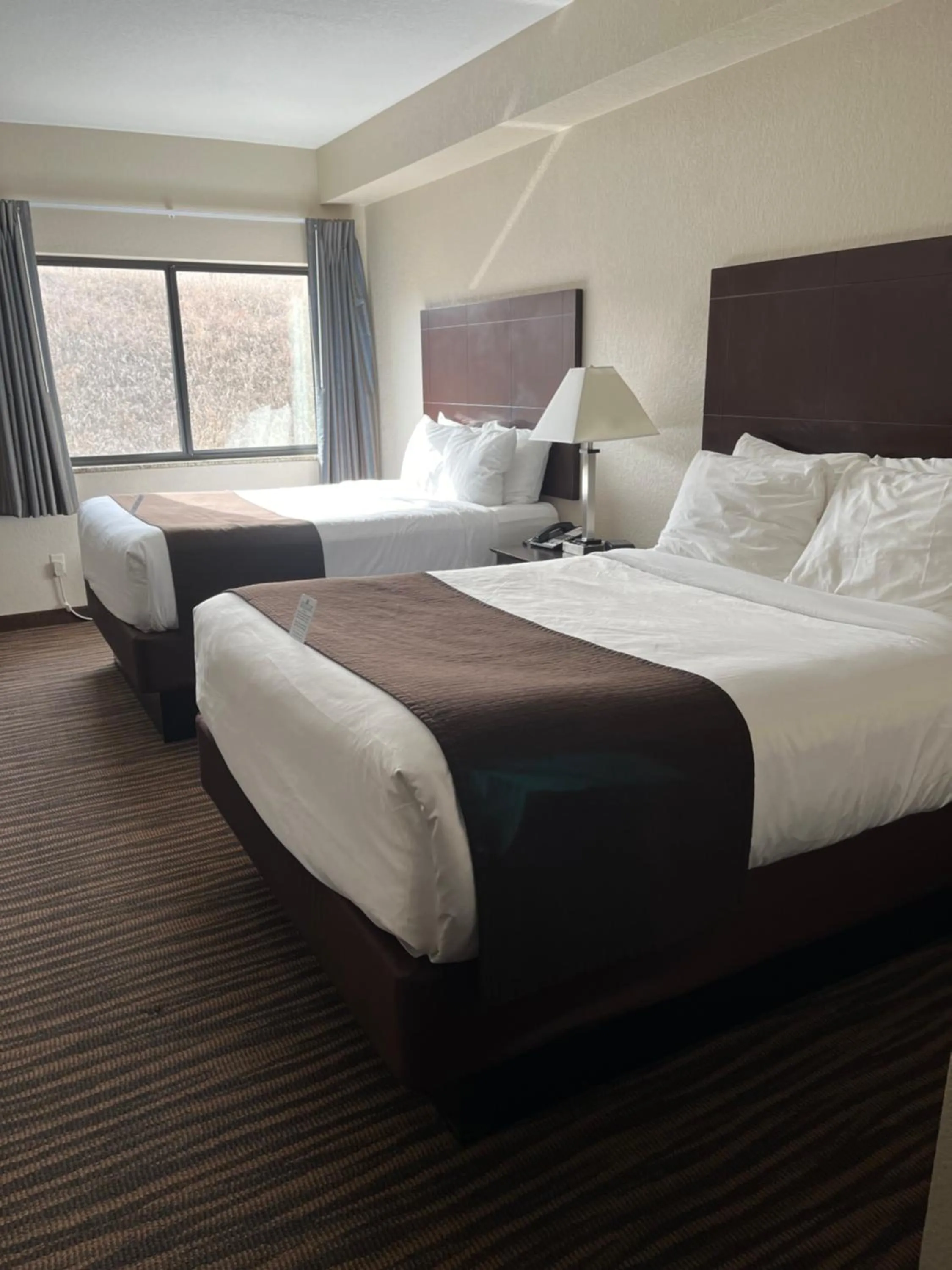 Bed in Cobblestone Inn & Suites - Denison | Oak Ridge