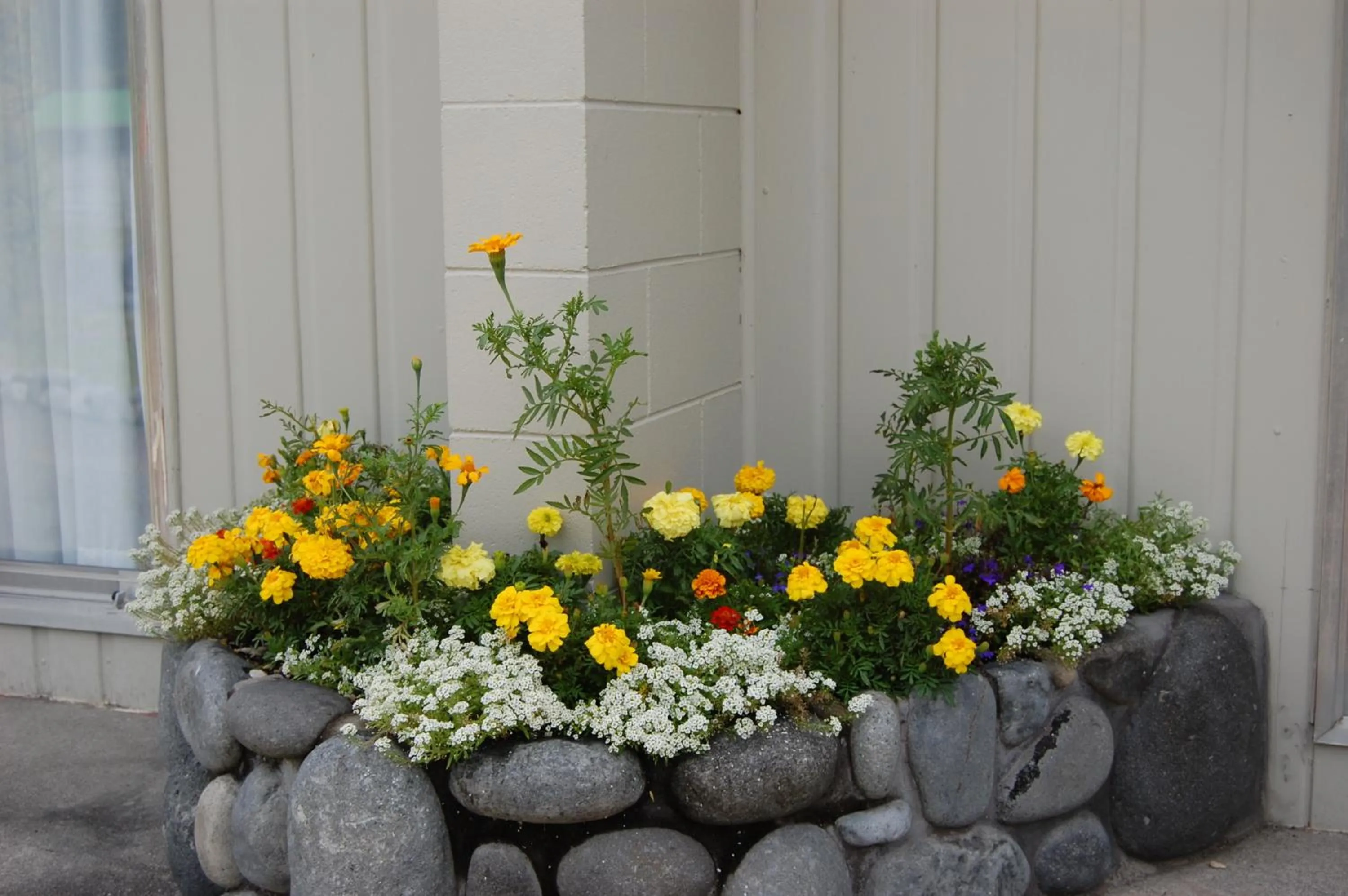 Facade/entrance in Tongariro River Motel