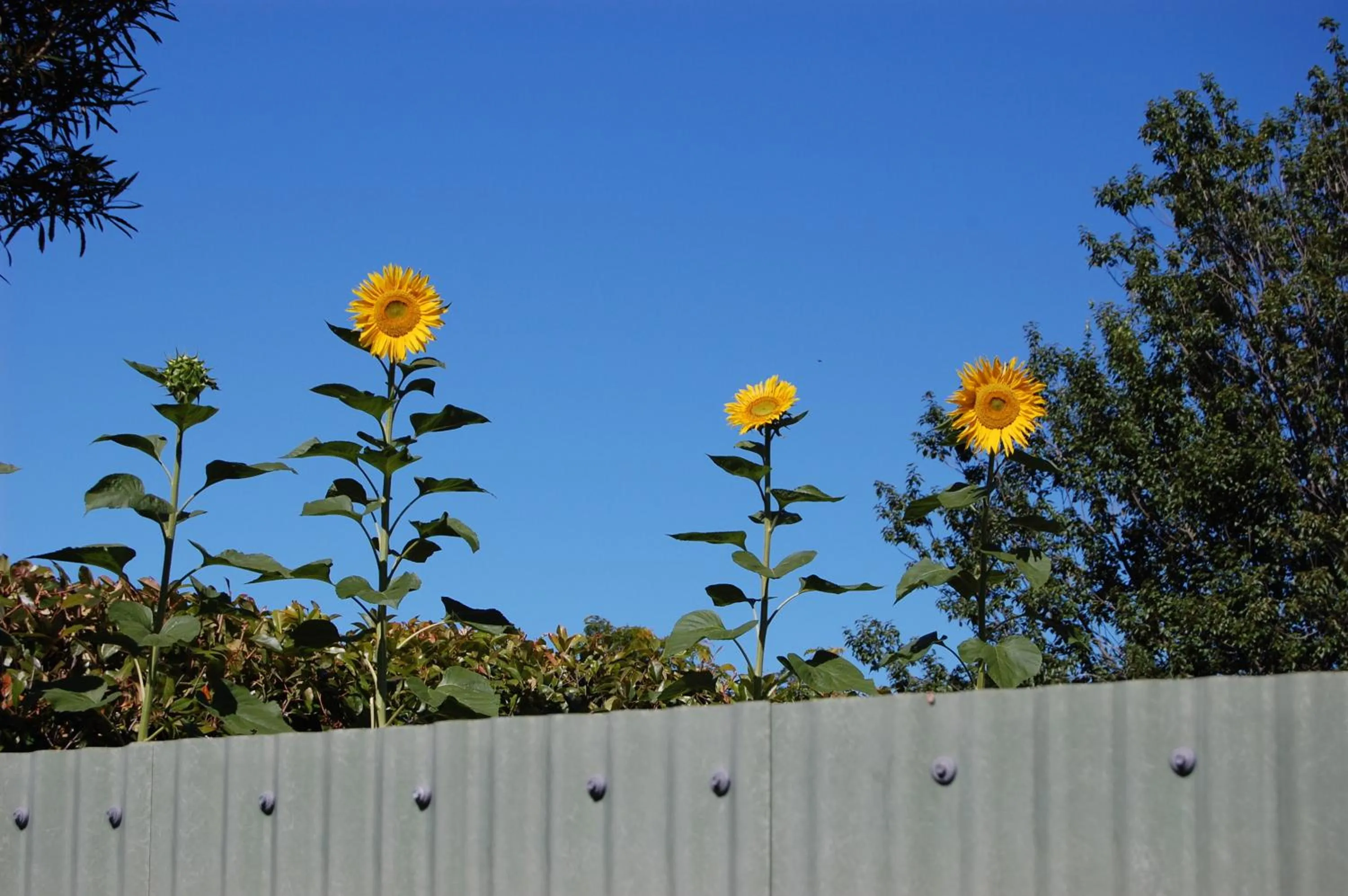 Facade/entrance in Tongariro River Motel
