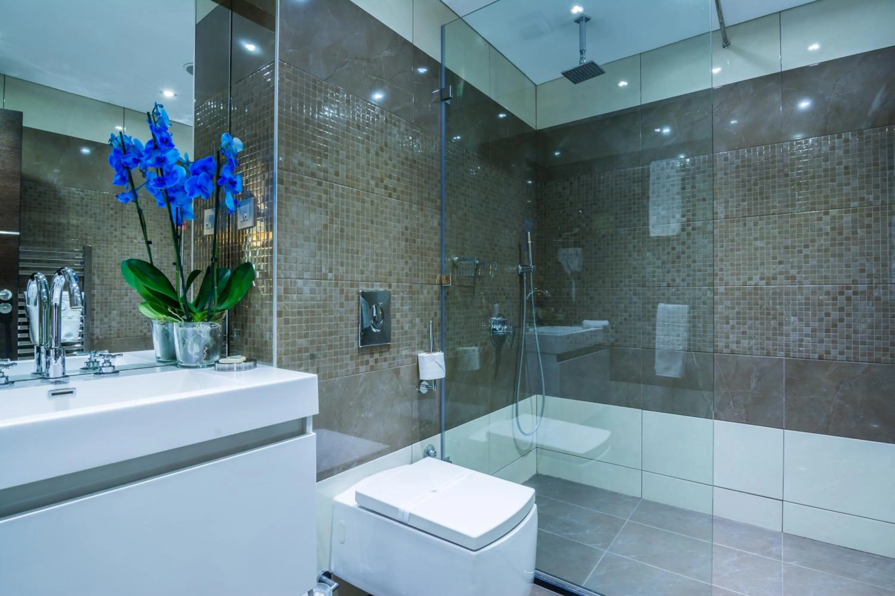 Bathroom in Best Western Plus Olives City Hotel - Free Pool & Parking