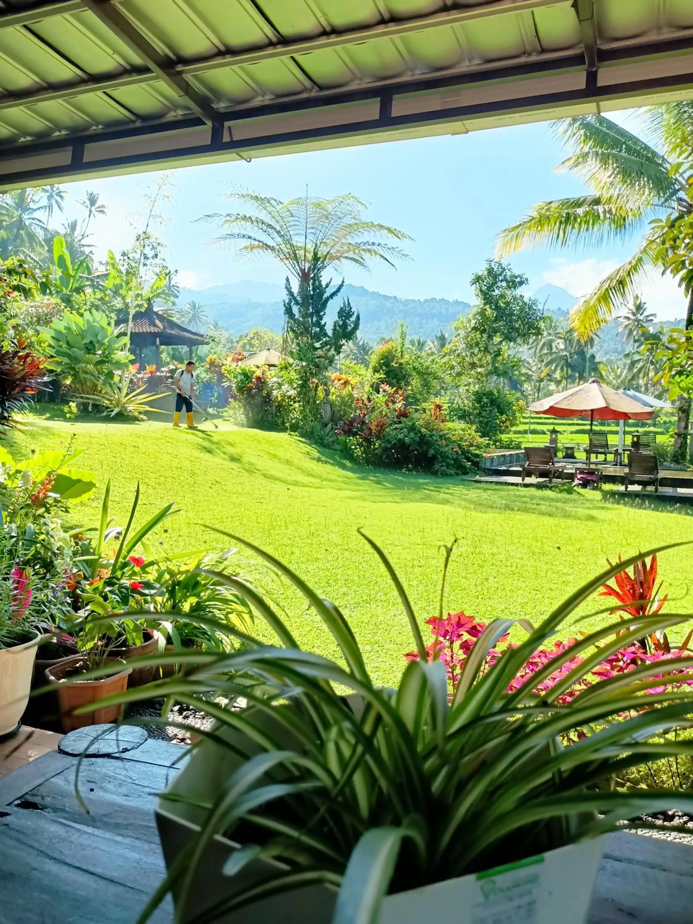 Patio in Amartya Puri Green Cottages