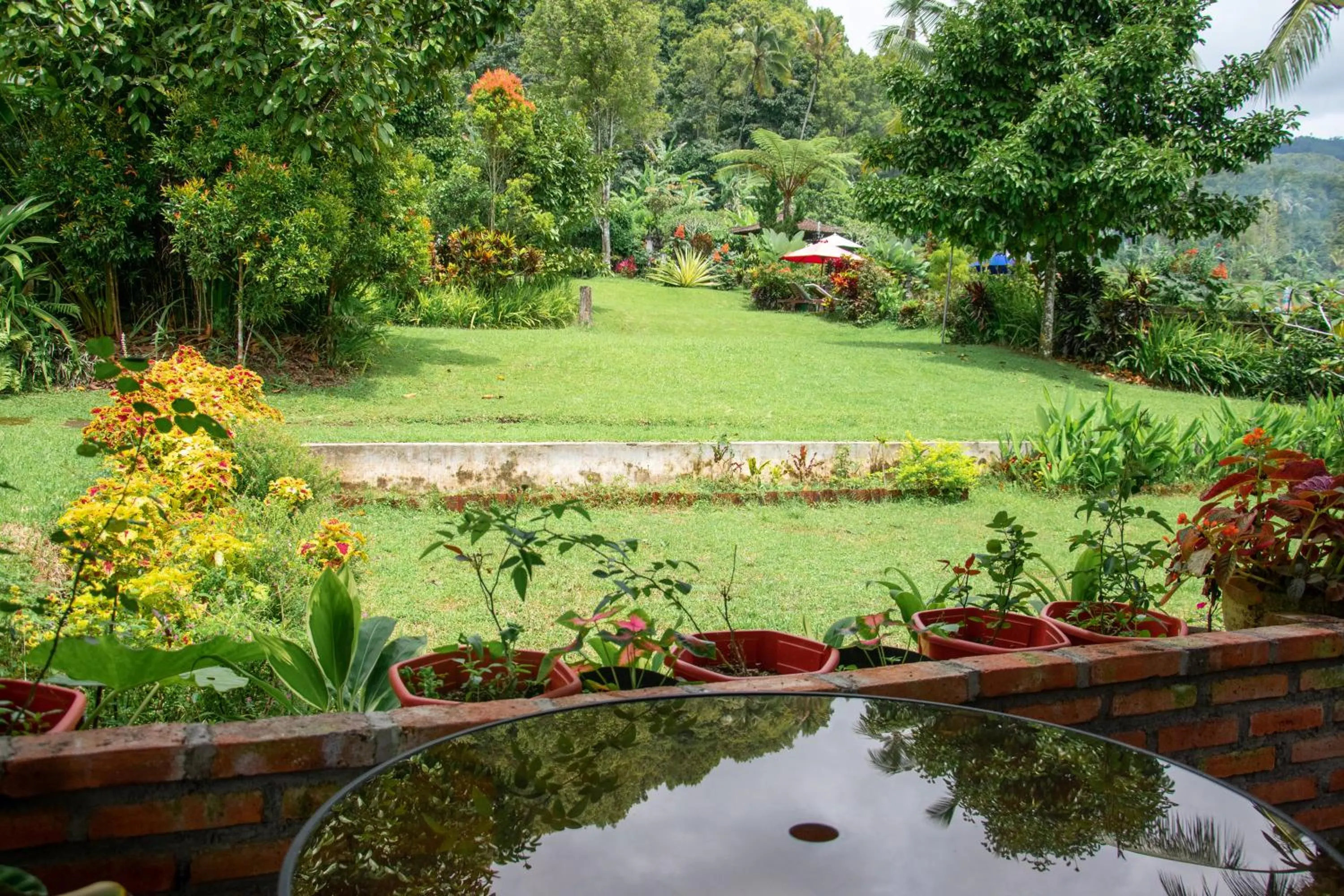 Garden view in Amartya Puri Green Cottages