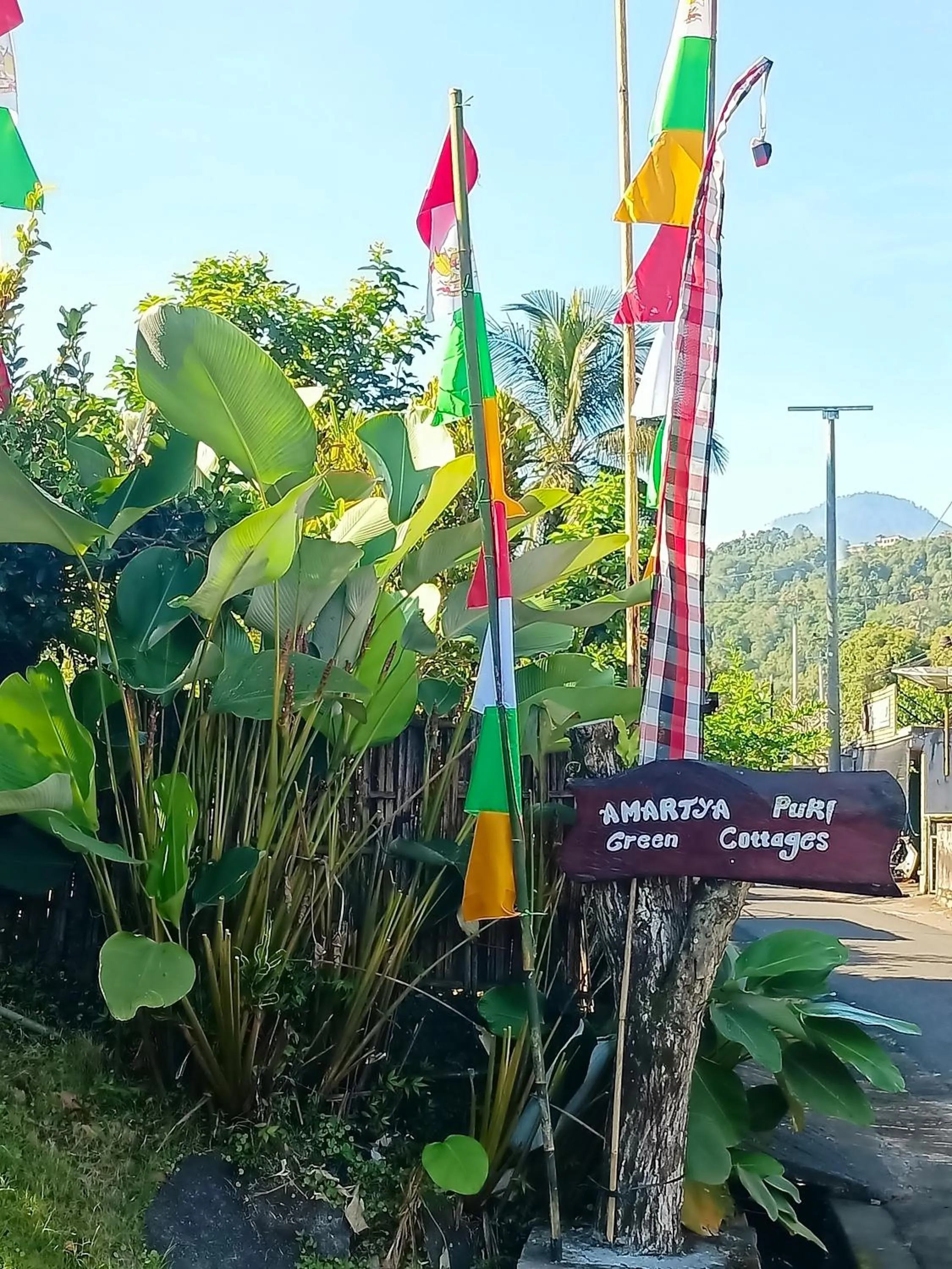 Street view in Amartya Puri Green Cottages