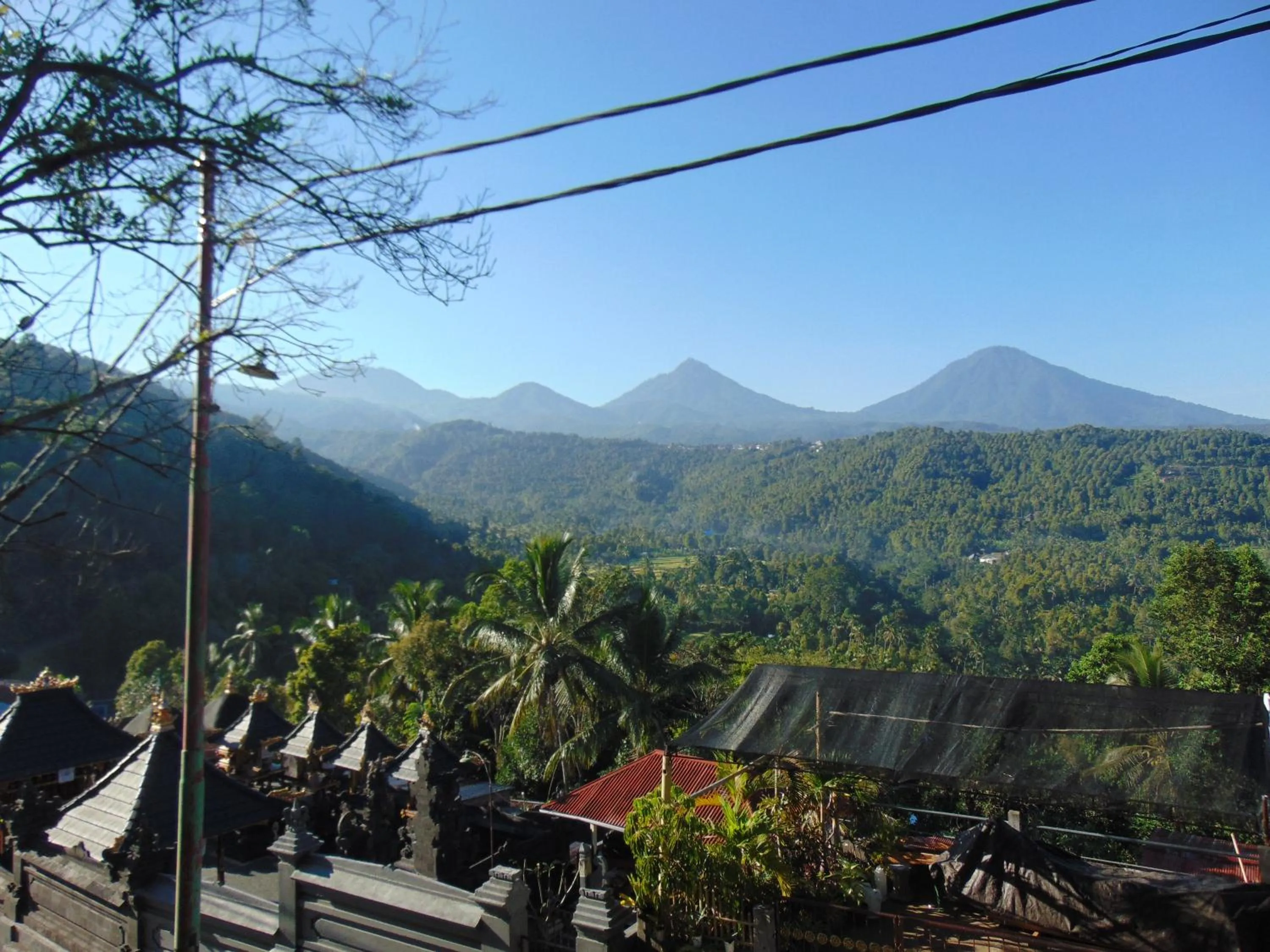 Natural landscape in Amartya Puri Green Cottages