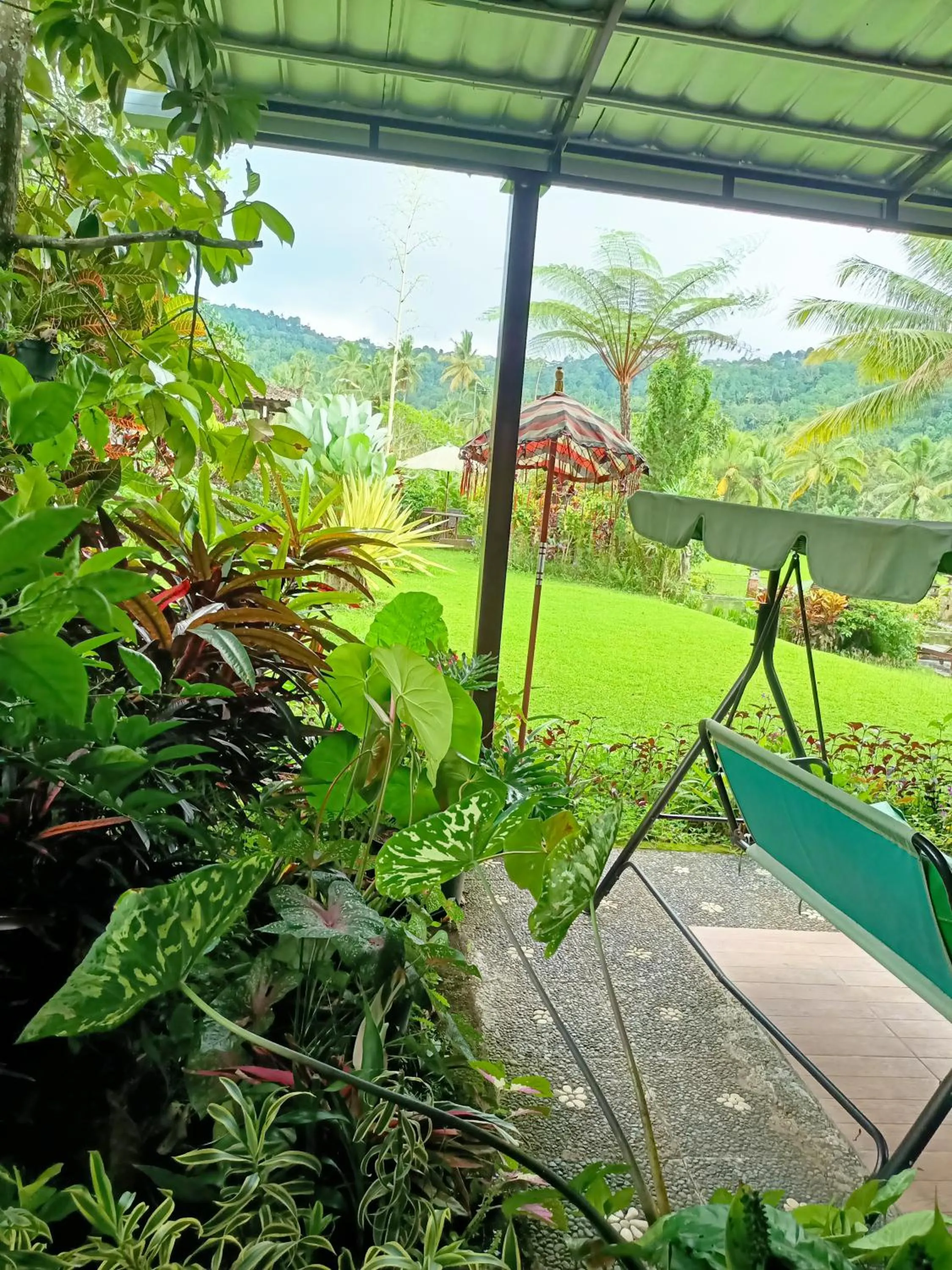 Patio in Amartya Puri Green Cottages