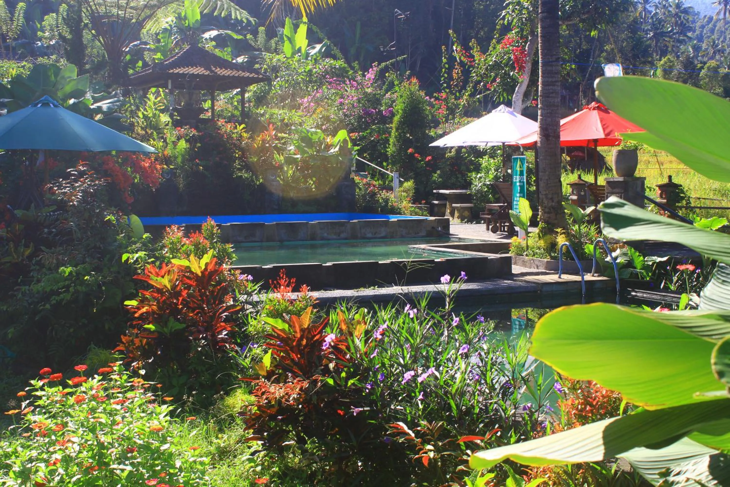 Garden in Amartya Puri Green Cottages