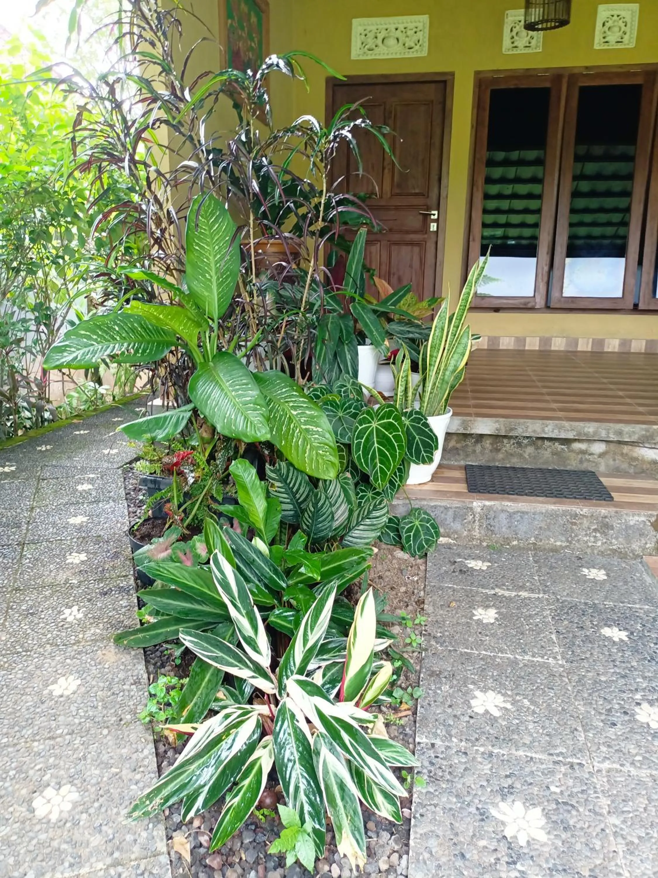 Patio in Amartya Puri Green Cottages