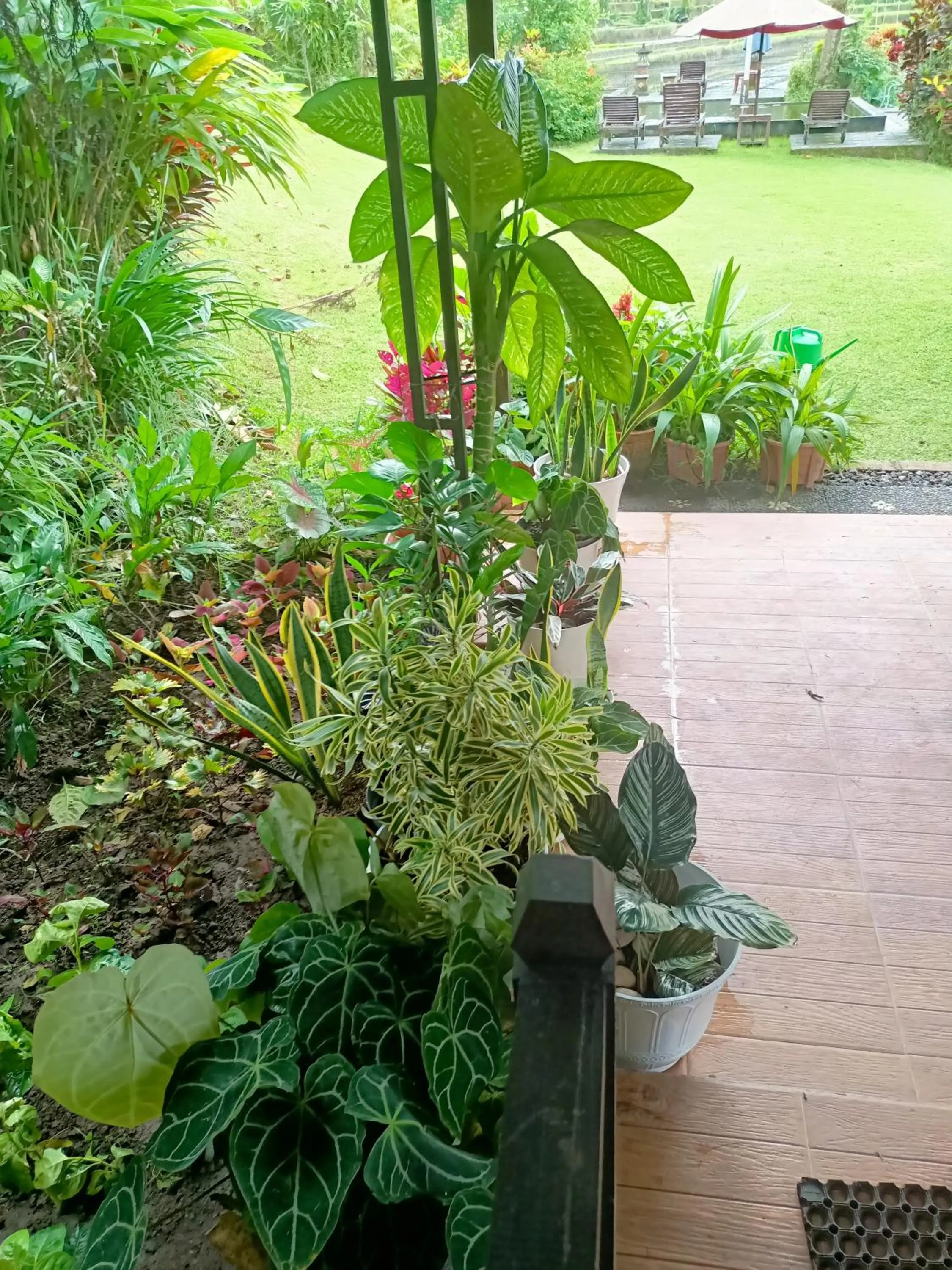 Patio in Amartya Puri Green Cottages