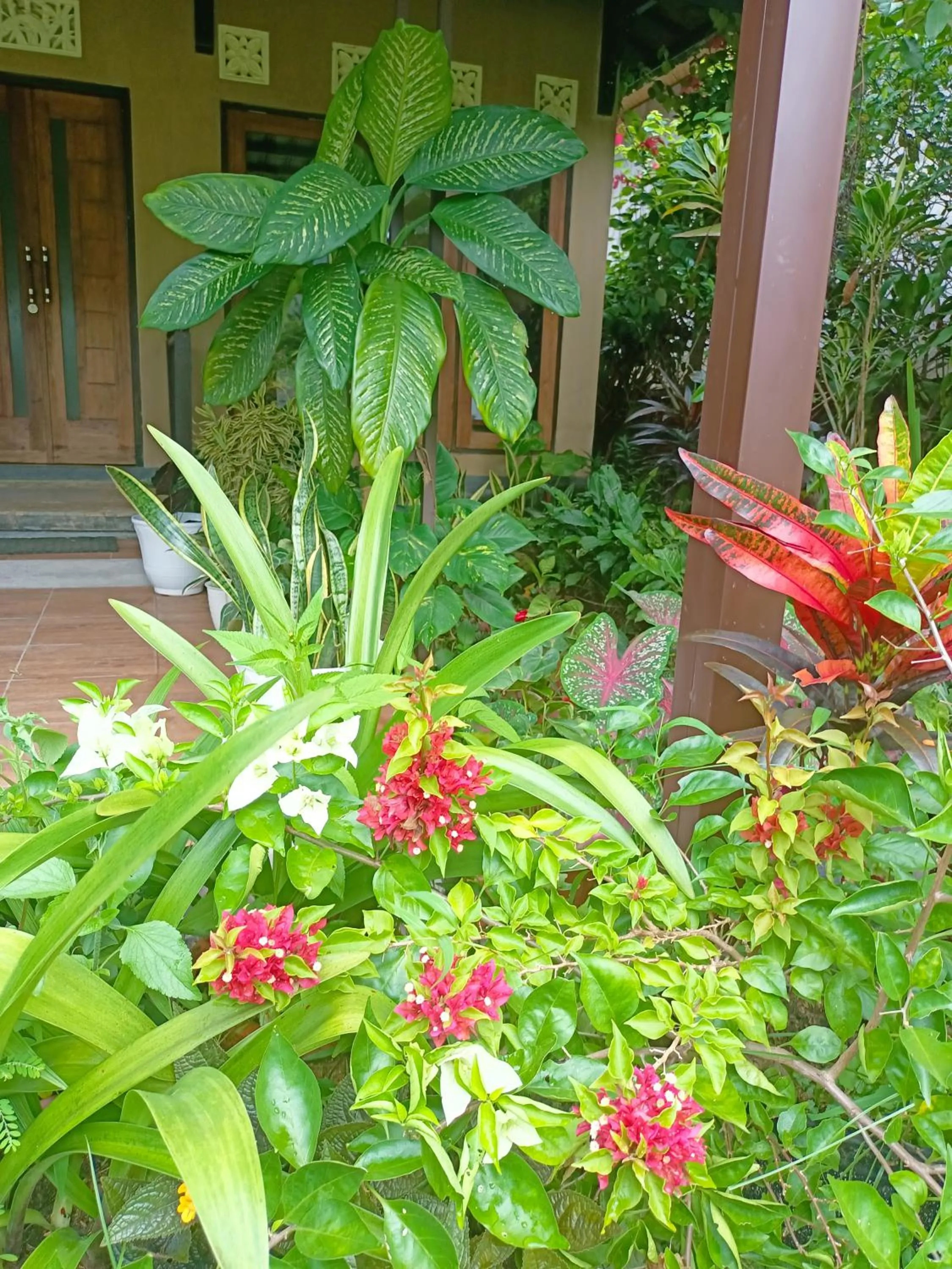 Patio in Amartya Puri Green Cottages