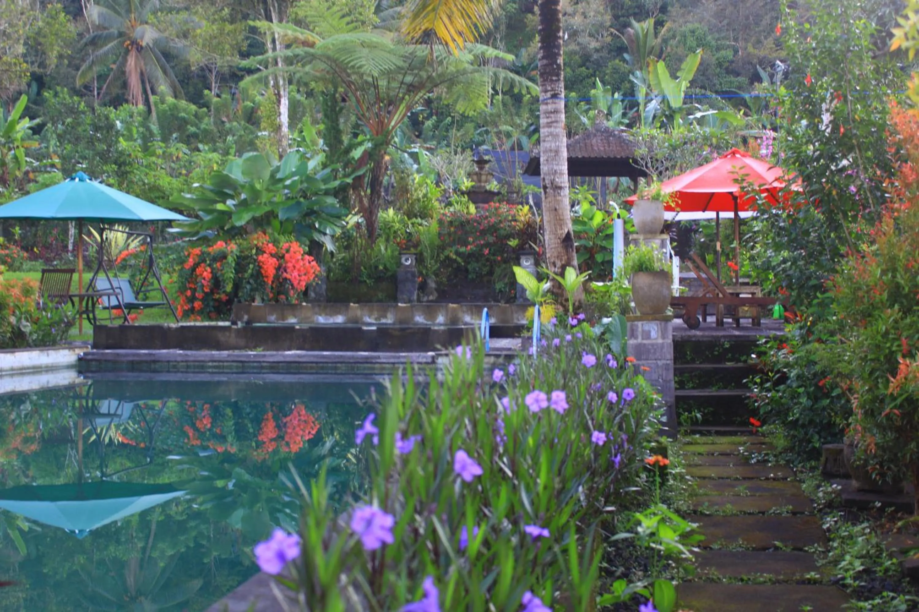Swimming pool in Amartya Puri Green Cottages