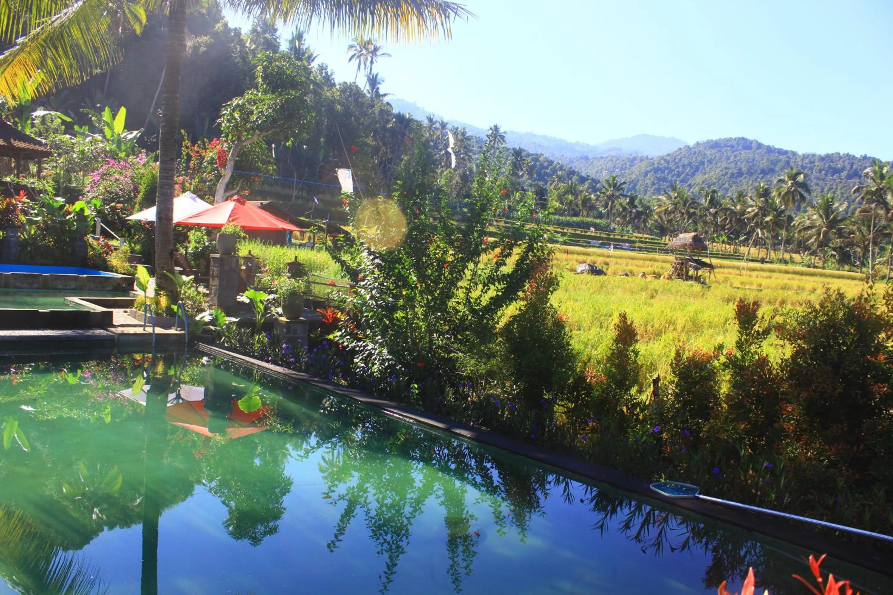 Mountain view in Amartya Puri Green Cottages