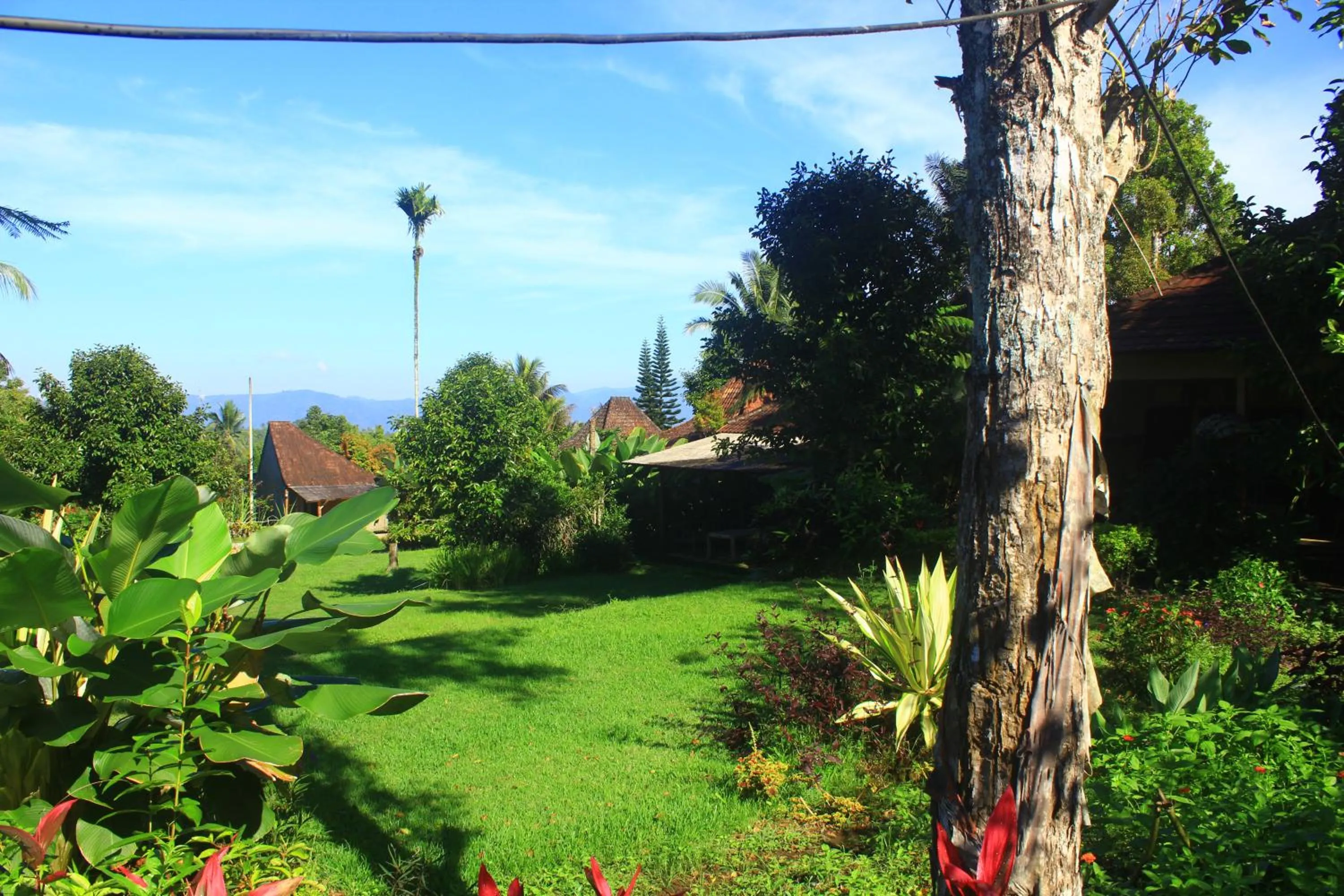 Garden in Amartya Puri Green Cottages