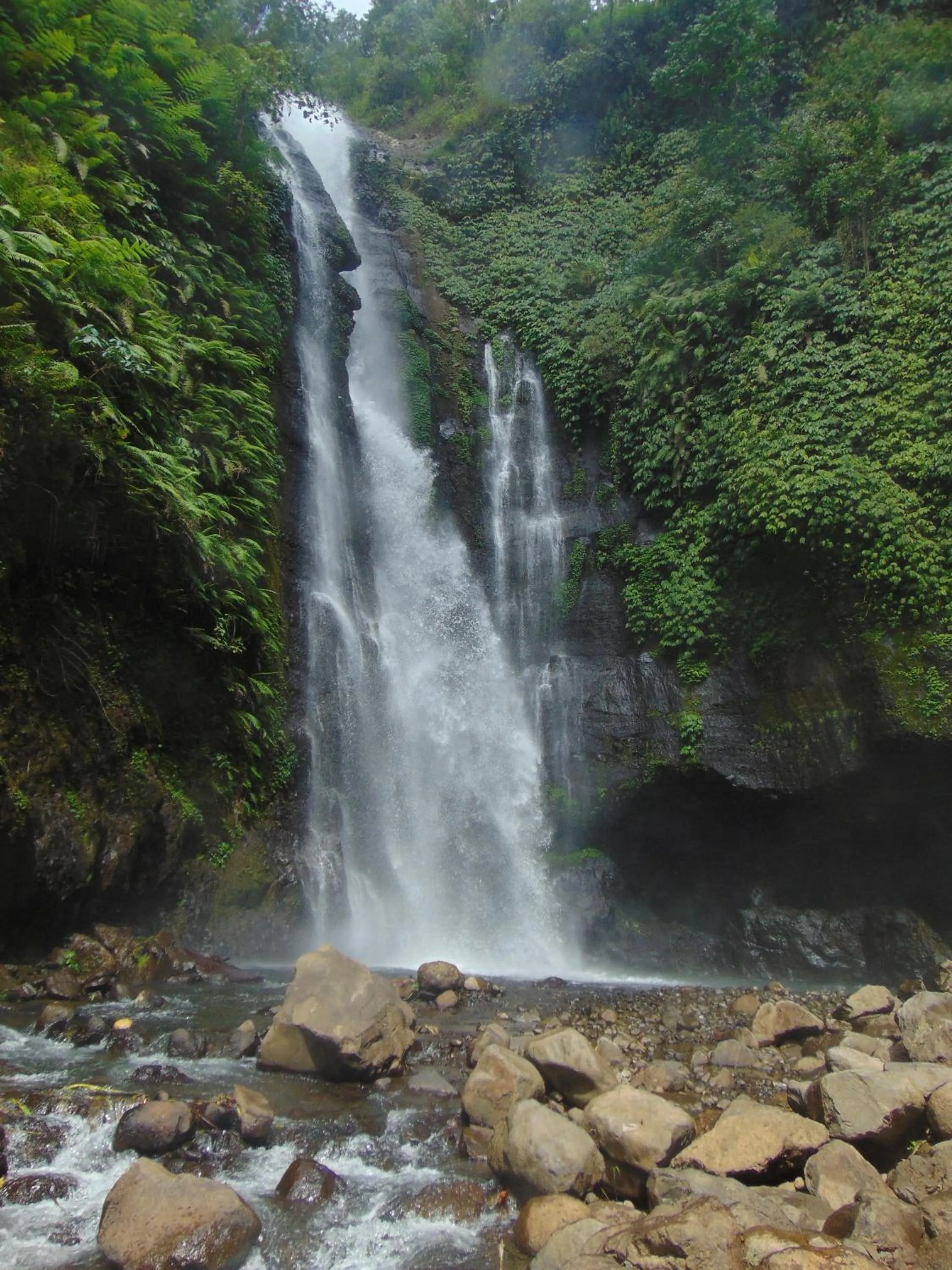Activities in Amartya Puri Green Cottages