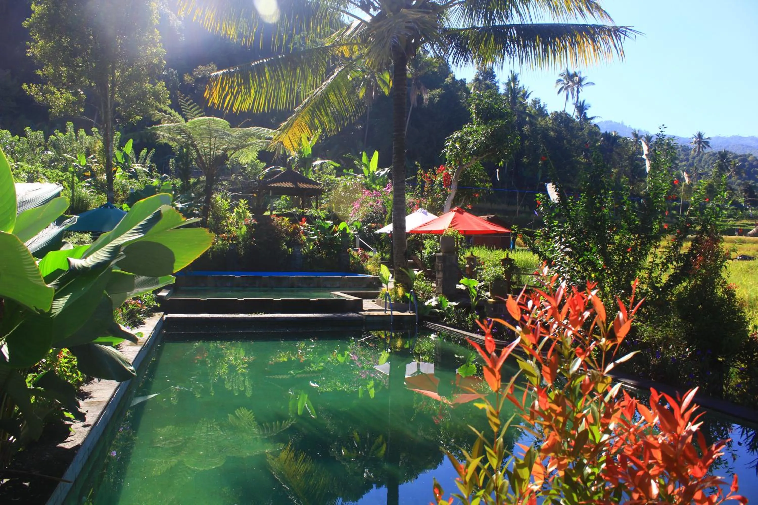 Garden in Amartya Puri Green Cottages