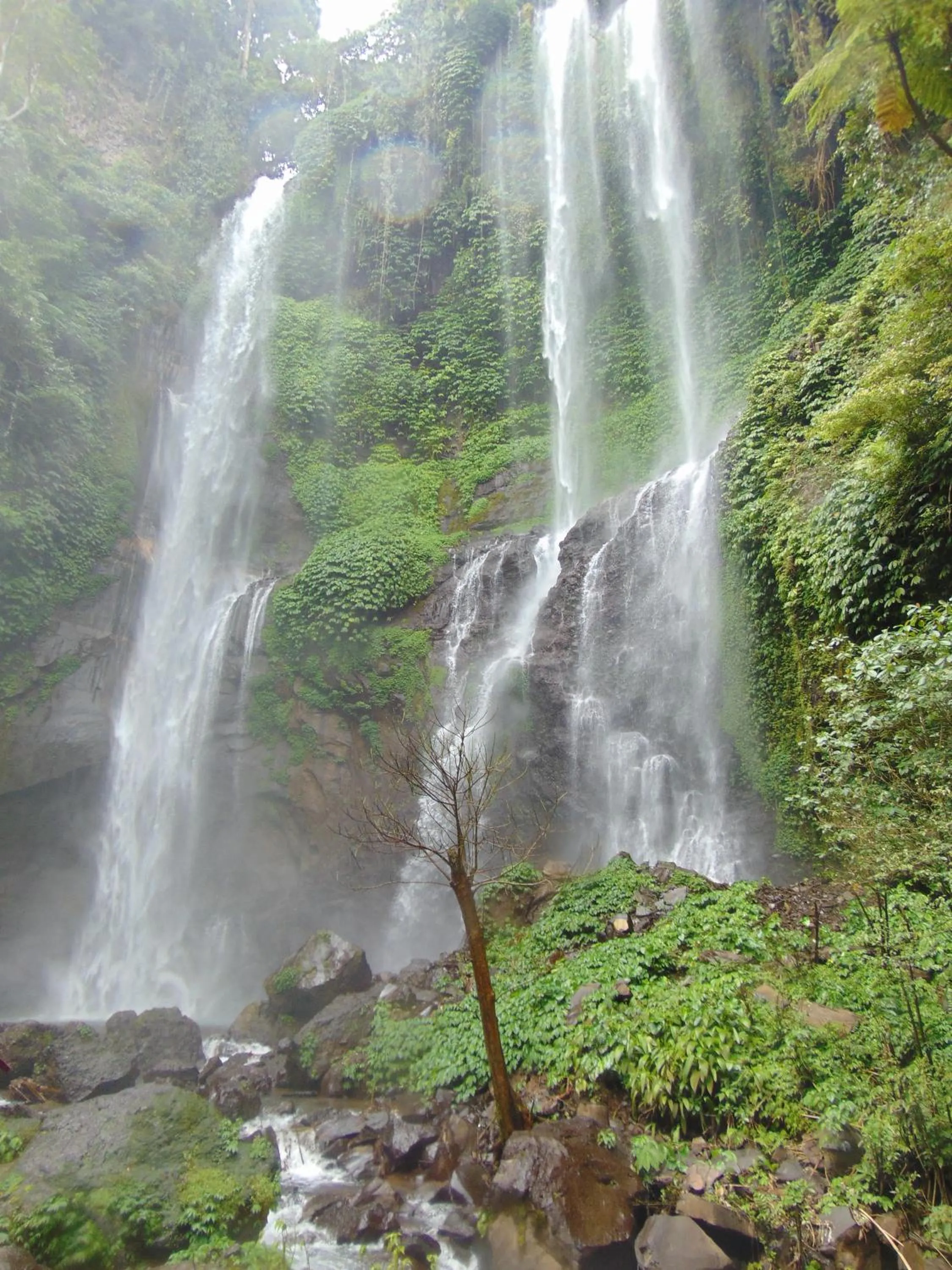 Activities in Amartya Puri Green Cottages