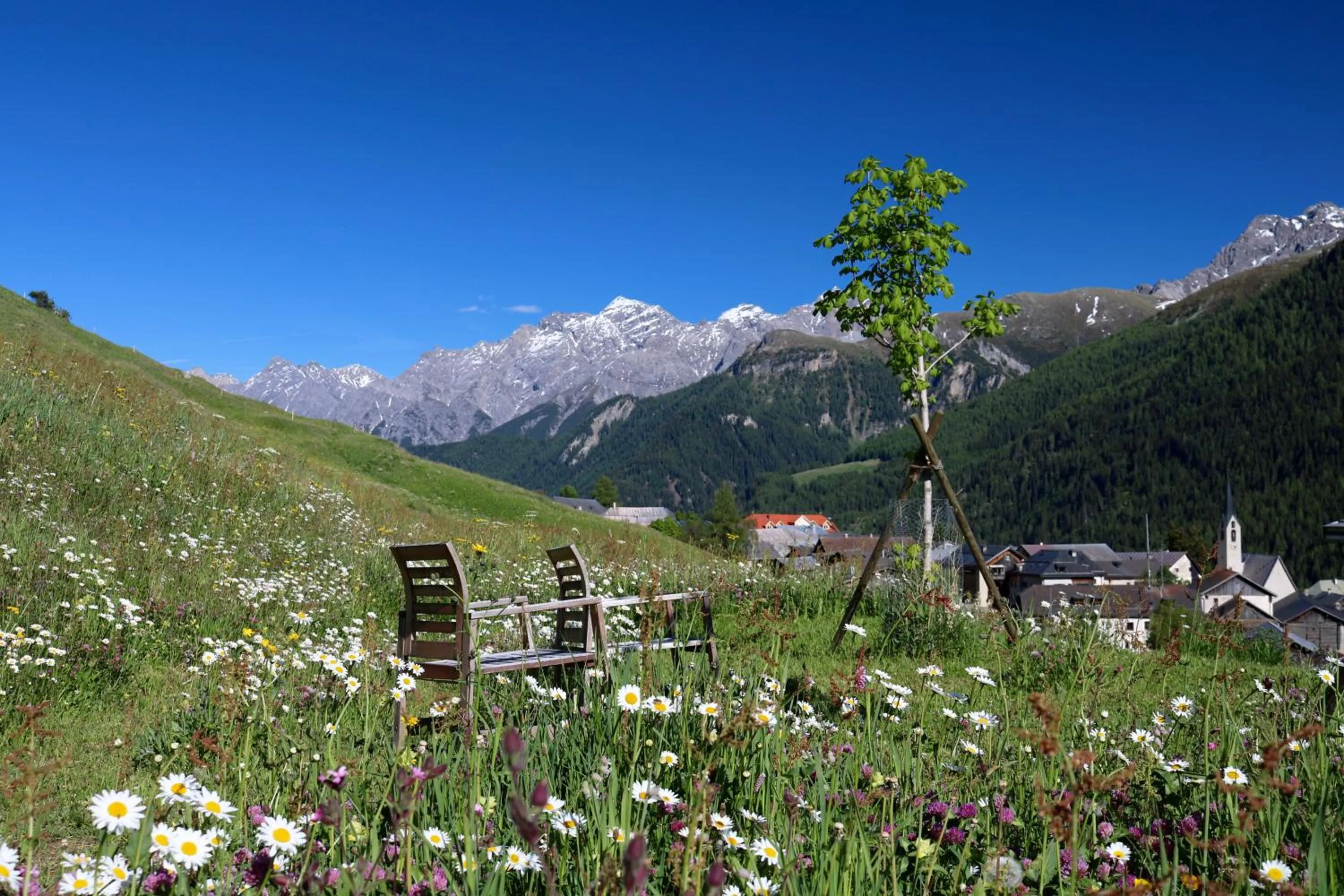 View (from property/room) in Guarda Lodge