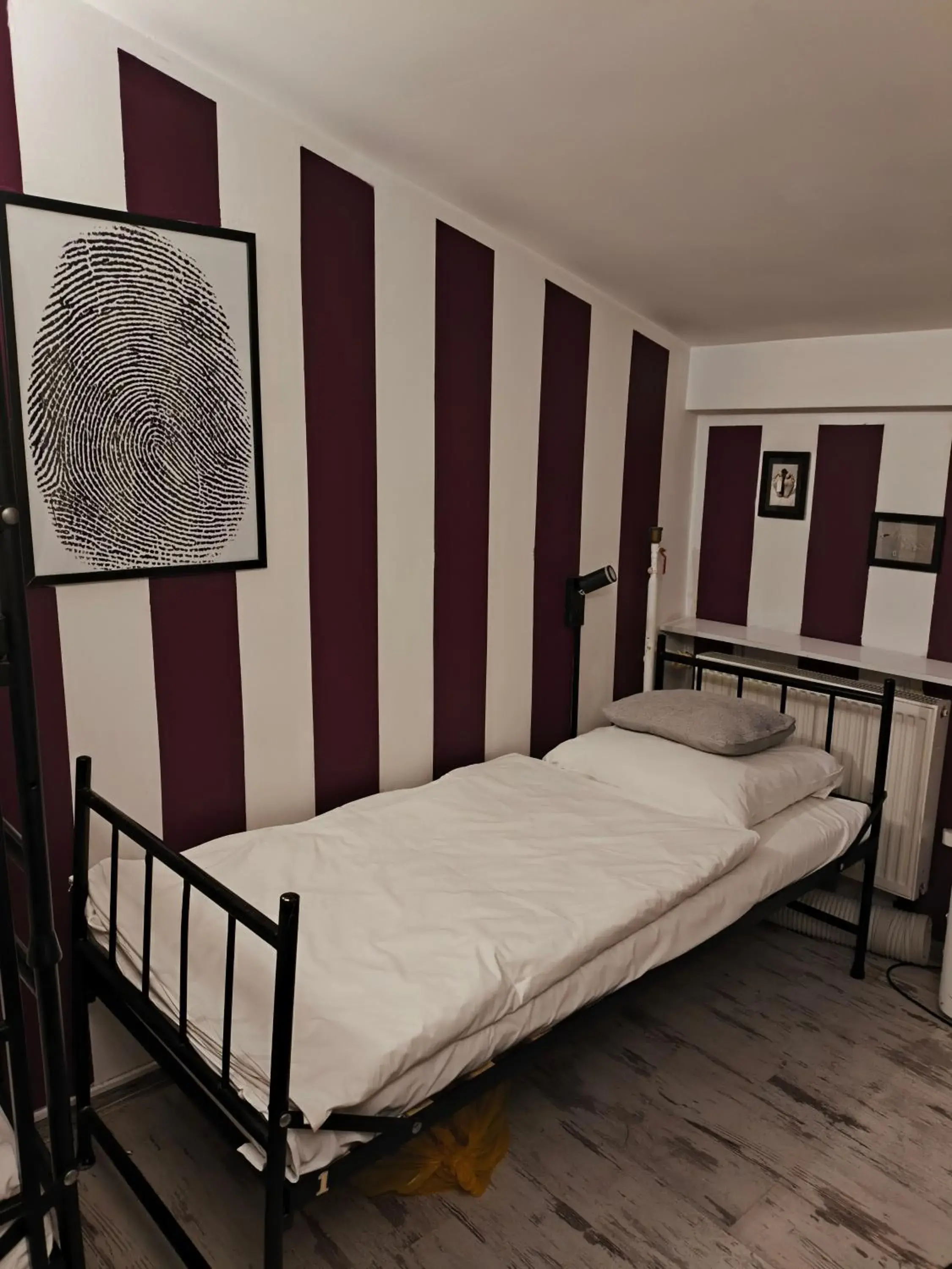 Bunk Bed in Female Dormitory Room in AB Hostel Bunk Bed in Female Dormitory Room in AB Hostel