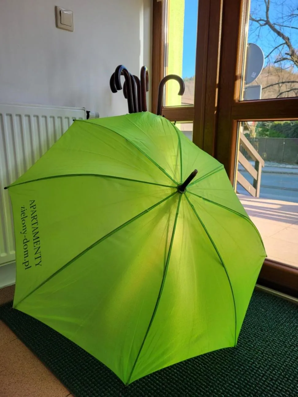 Area and facilities in Apartamenty Zielony Dom