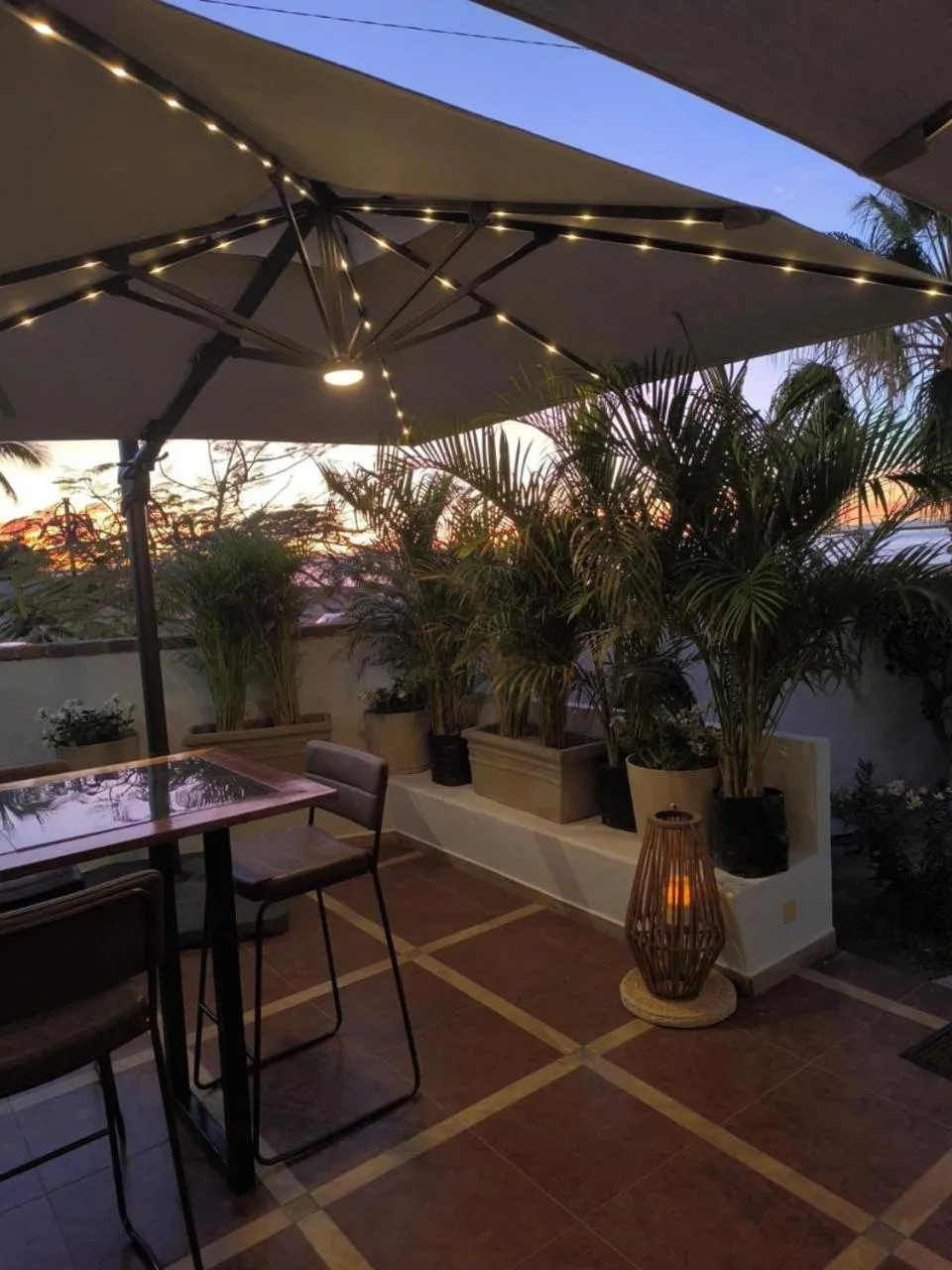 Garden in La Posada Hotel Boutique