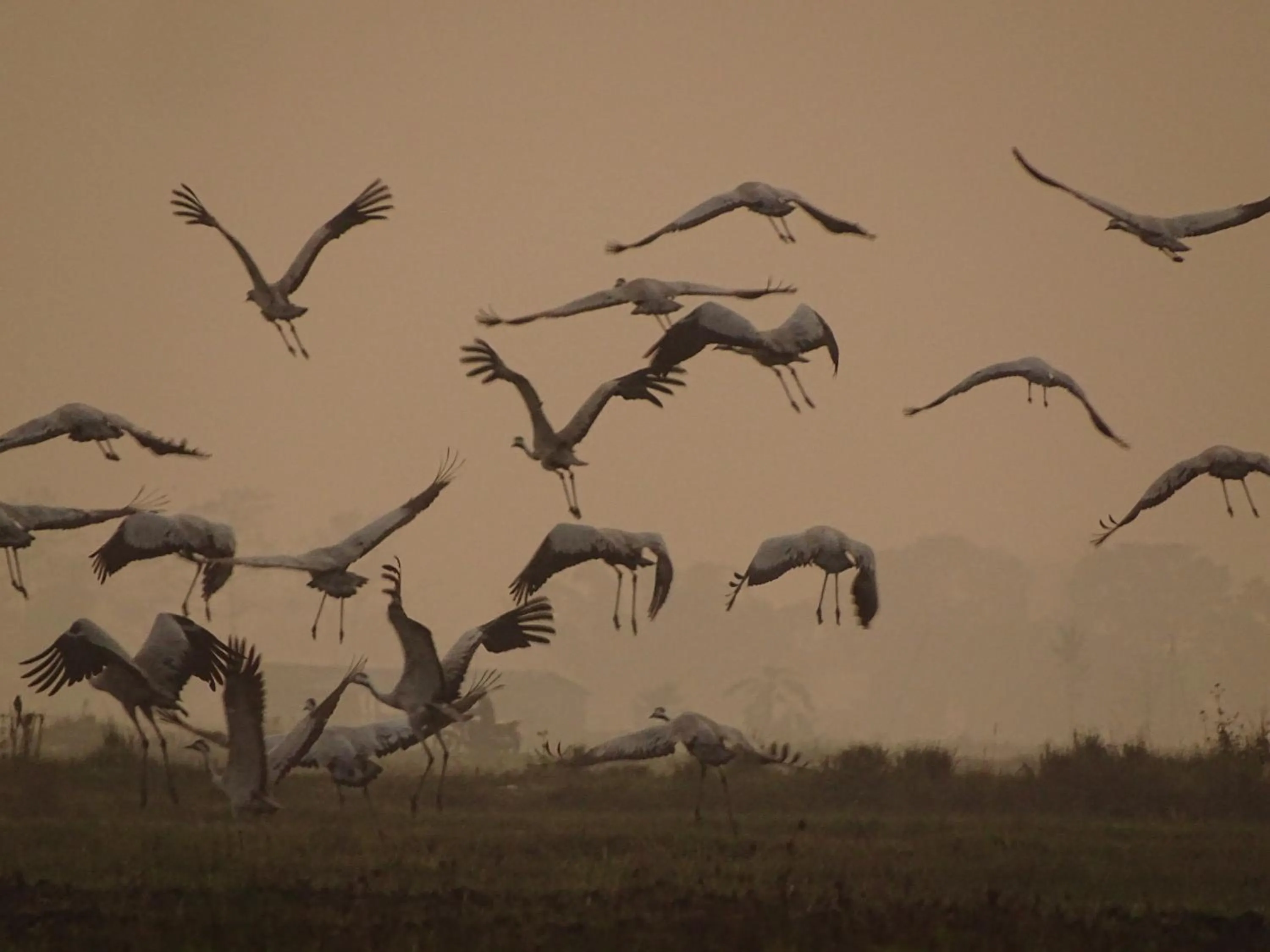 Activities in Kasara Chitwan