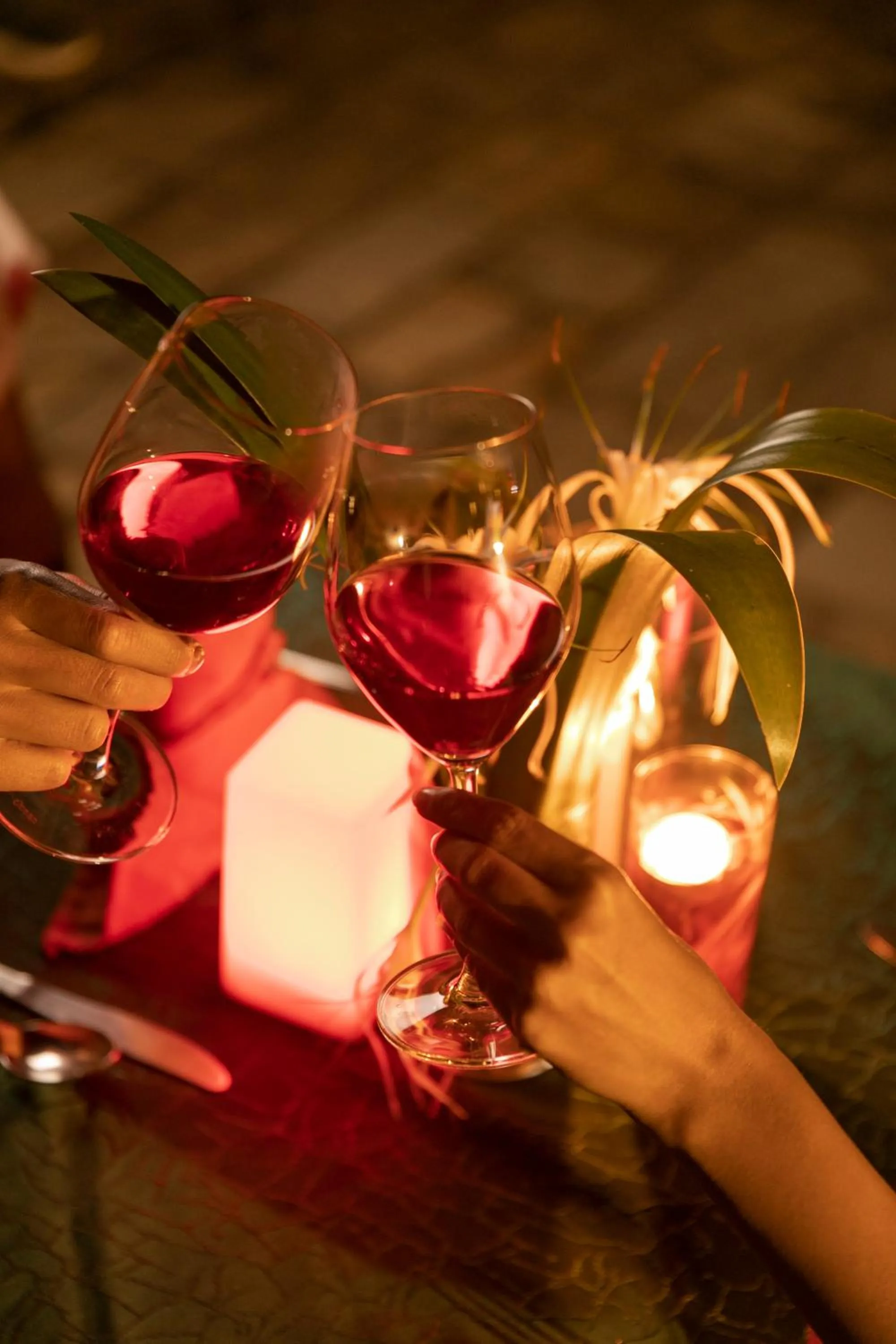 Restaurant/places to eat in Kasara Chitwan