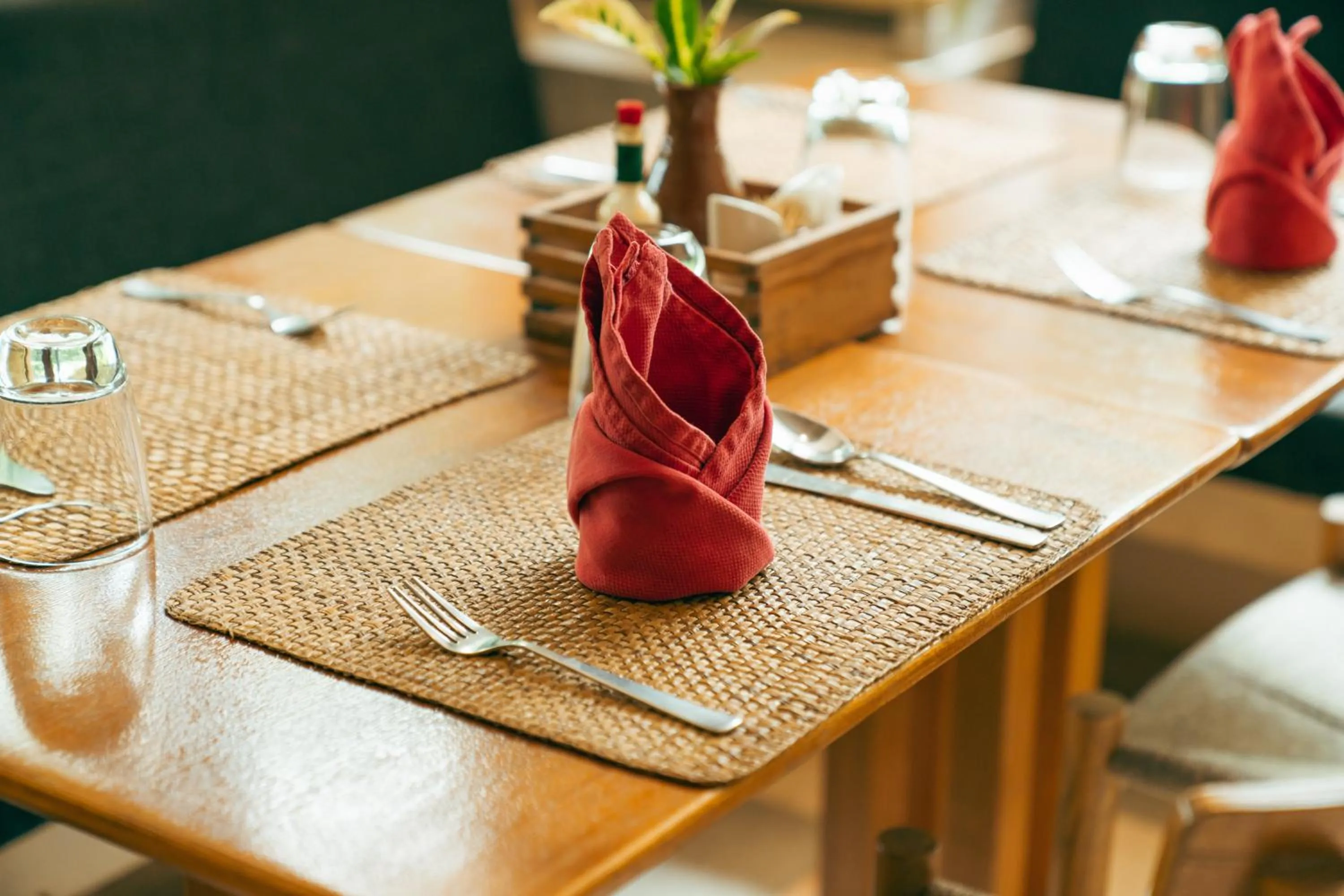 Restaurant/places to eat in Kasara Chitwan