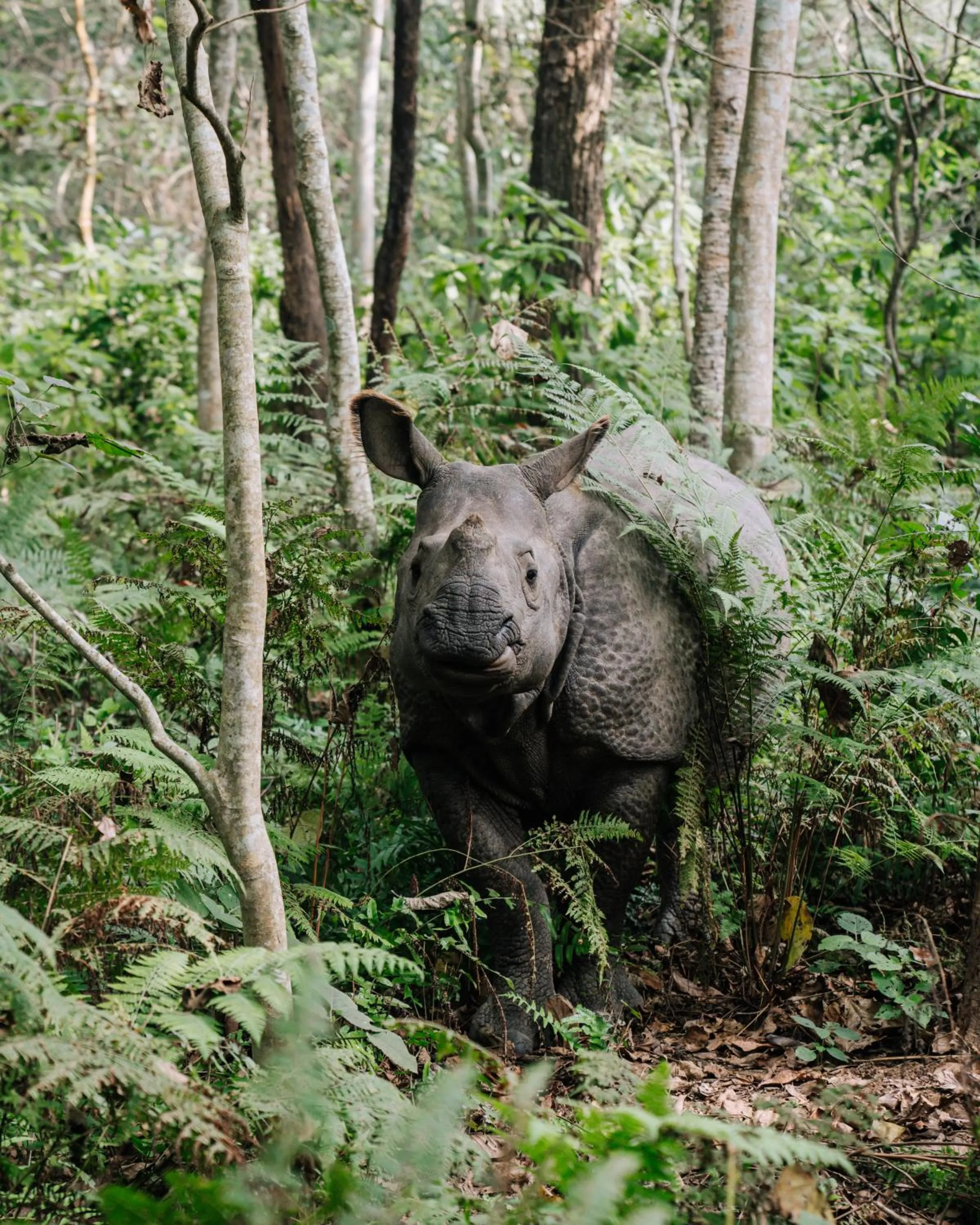 Day in Kasara Chitwan