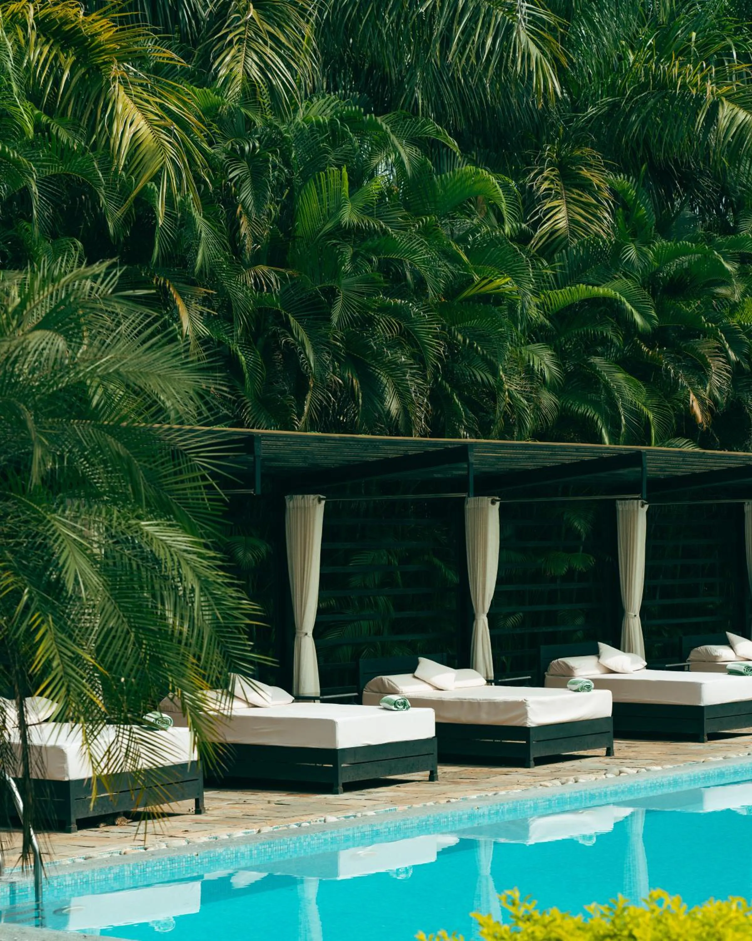 Patio in Kasara Chitwan